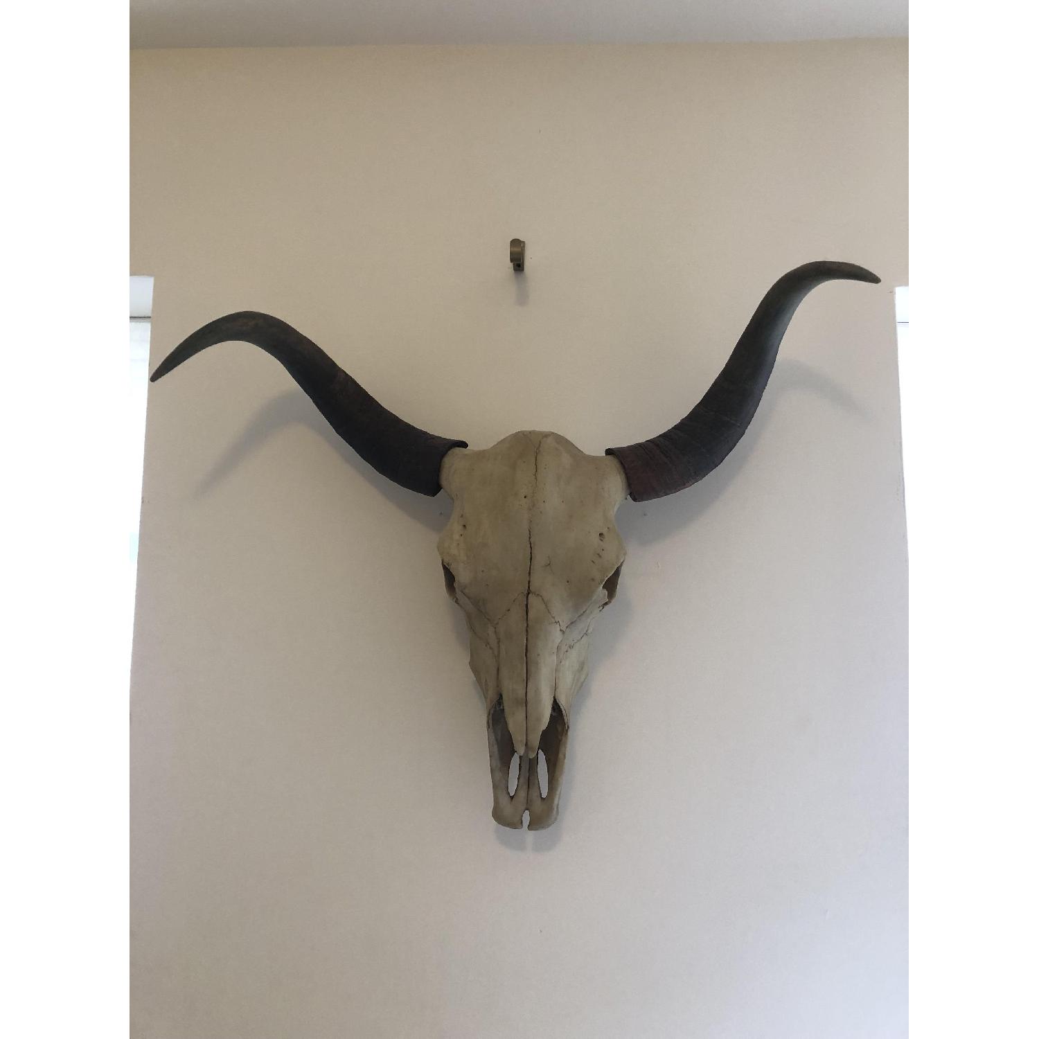 Faux Bull Skull Wall Decor For Sale On Aptdeco
