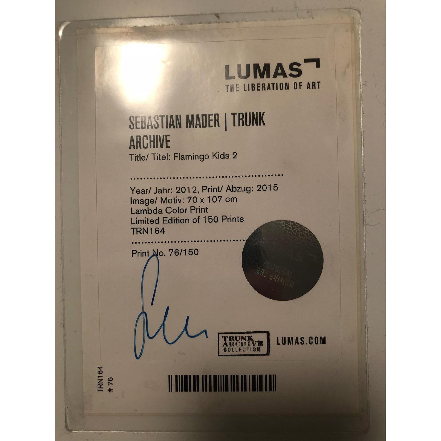 Sebastian Mader Signed Limited Edition Art - Flamingo Kids - image-2