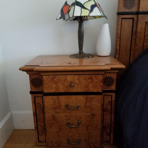 Used Burl Nightstands for sale on AptDeco