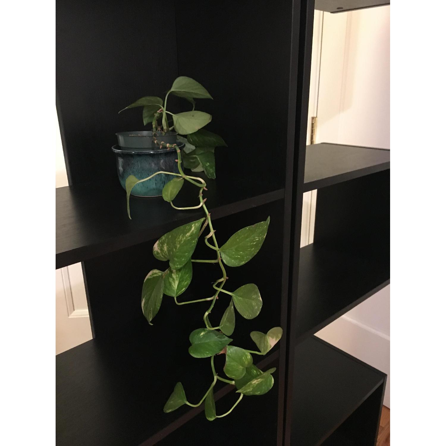 Black Wood Bookcases - image-12