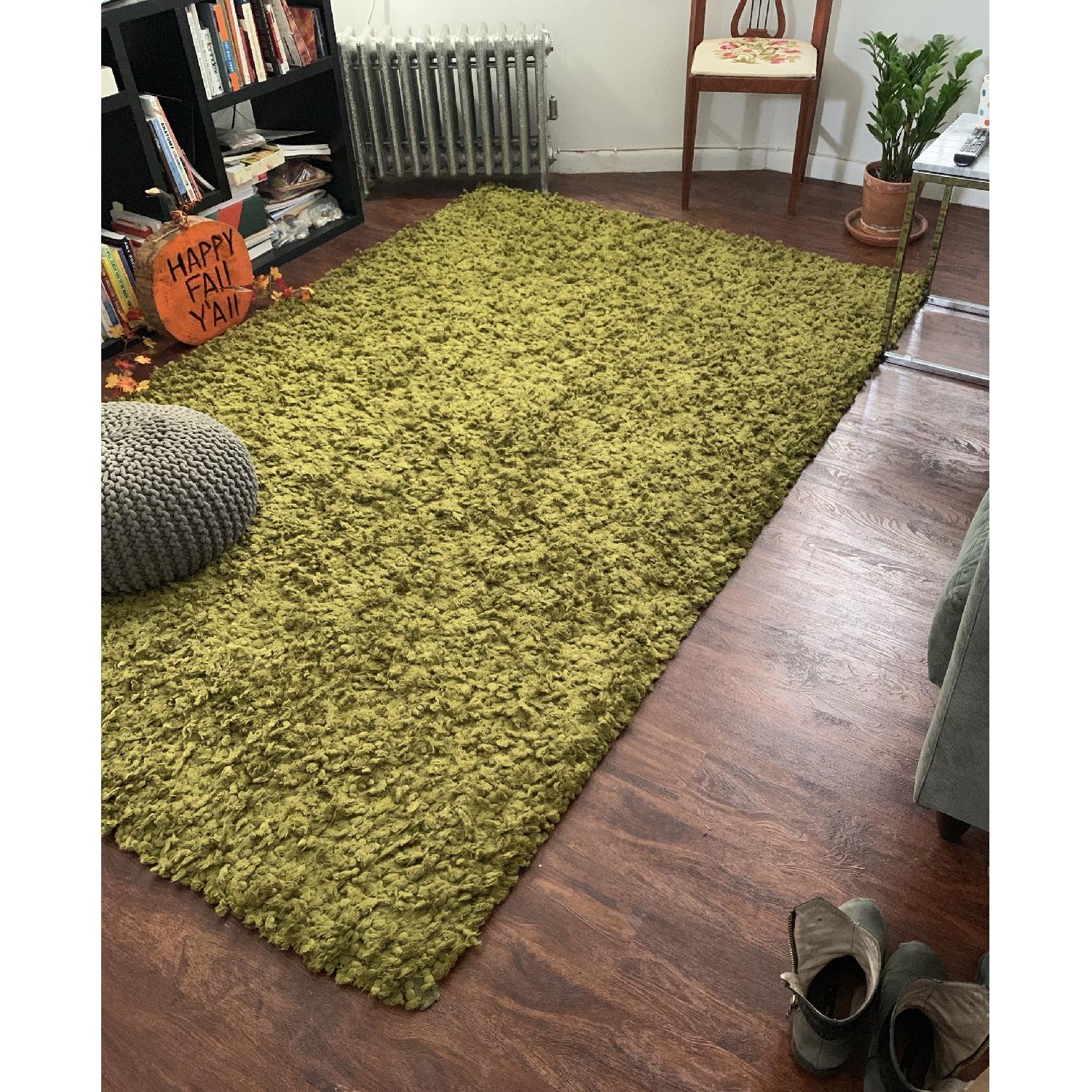 CB2 Green Area Shag Rug AptDeco