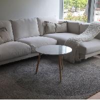 Ikea Skarreso Area Rug - AptDeco