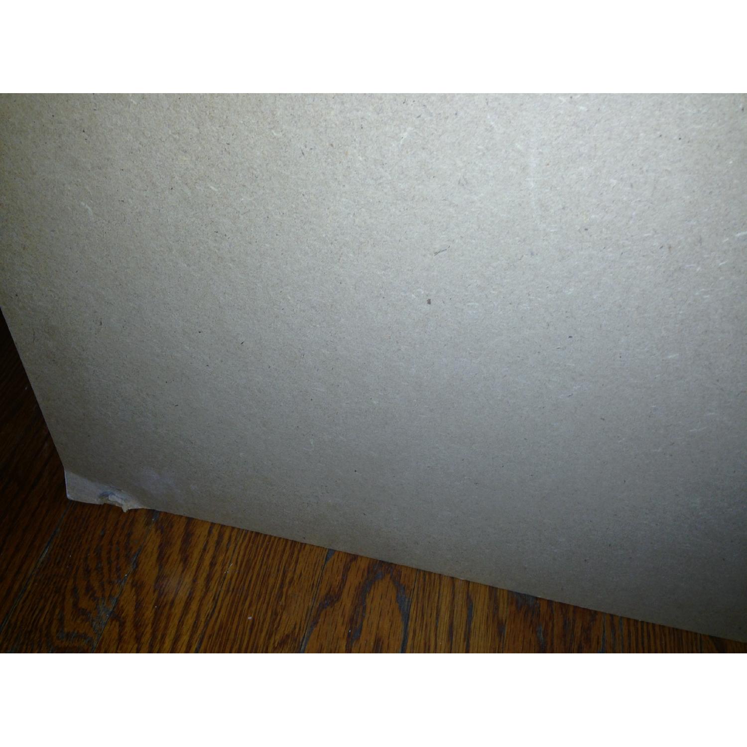 Georgia O'Keeffe 1924 - Light Iris - image-4