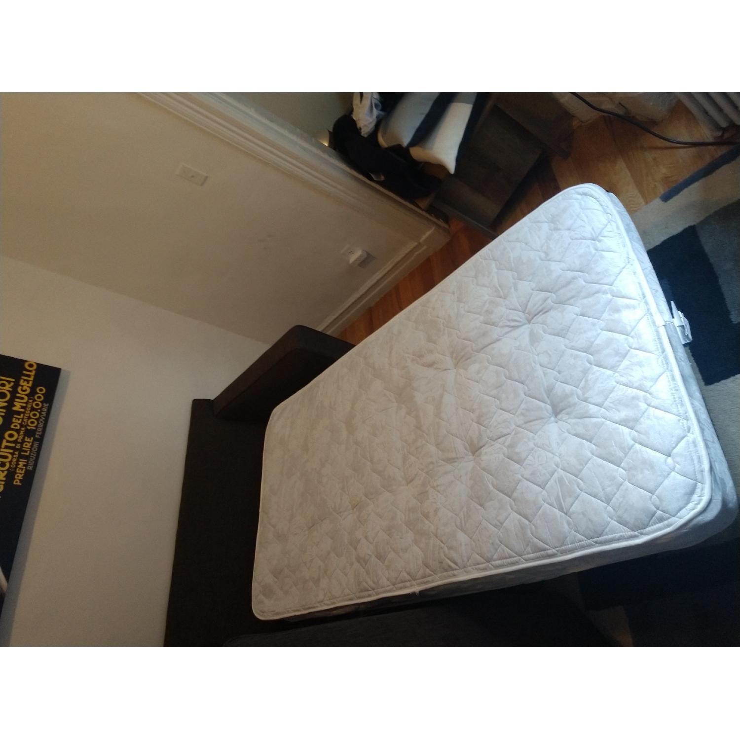 Crate & Barrel Davis Twin Sleeper Loveseat - image-2