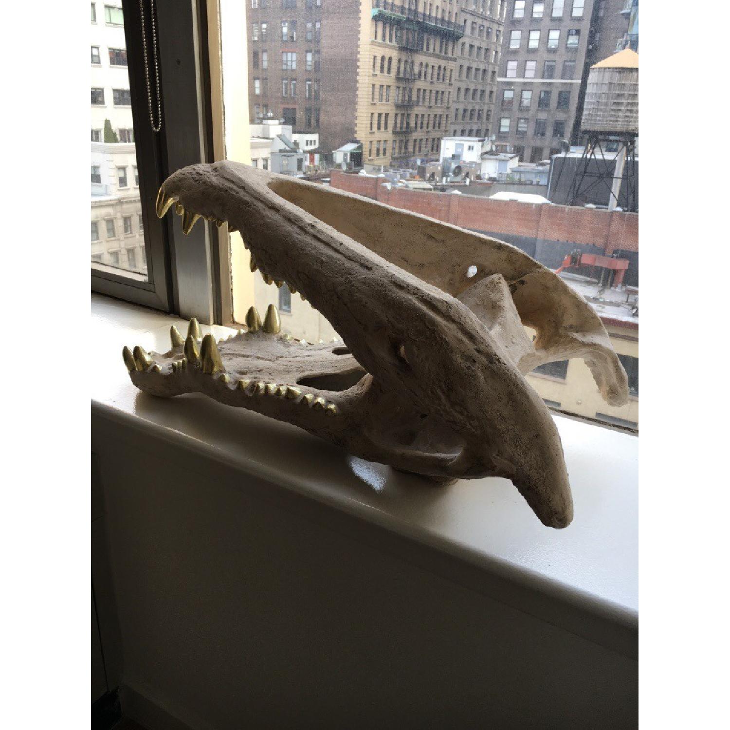 Replica Crocodile & Sabertooth Tiger Skull - image-2