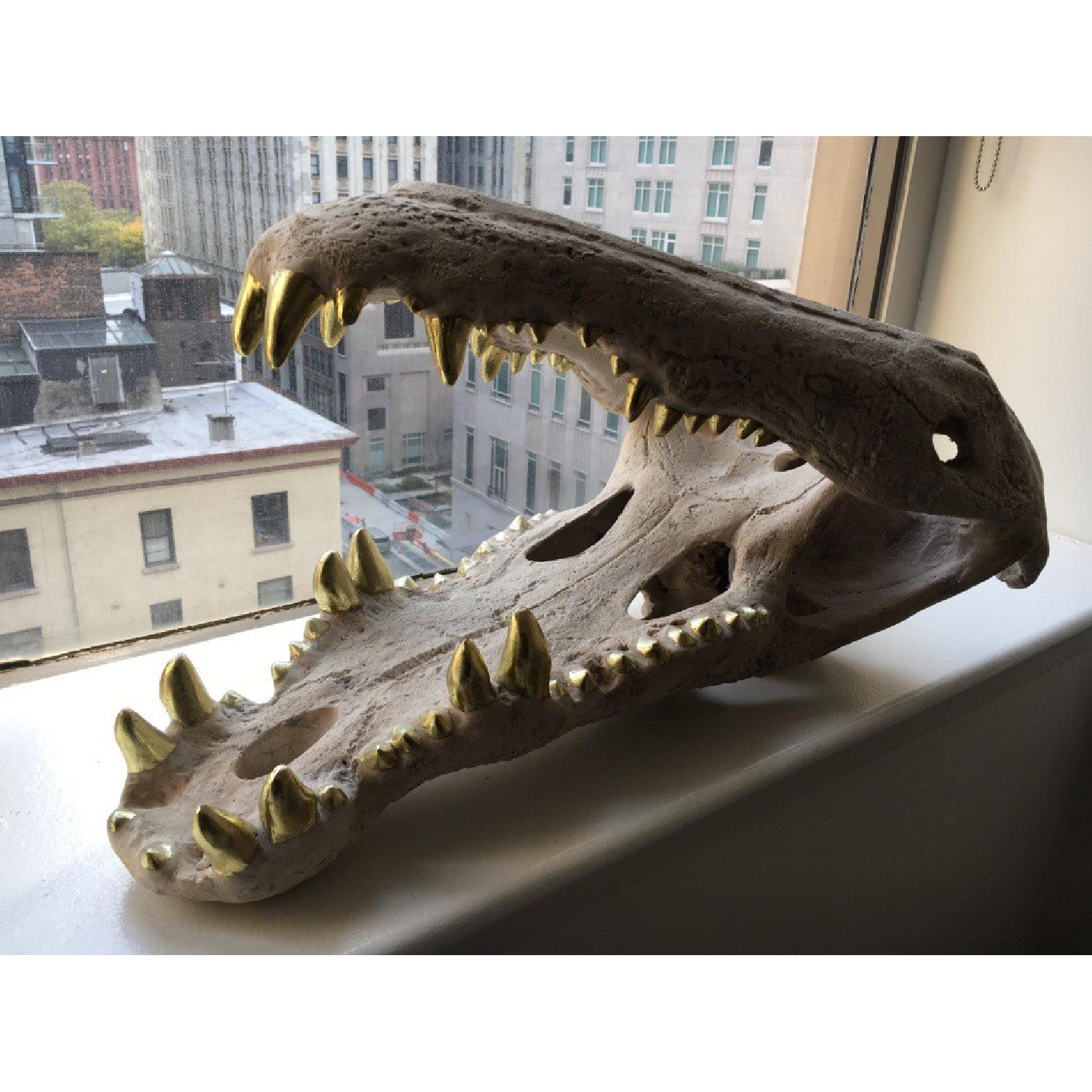 Replica Crocodile & Sabertooth Tiger Skull - image-3