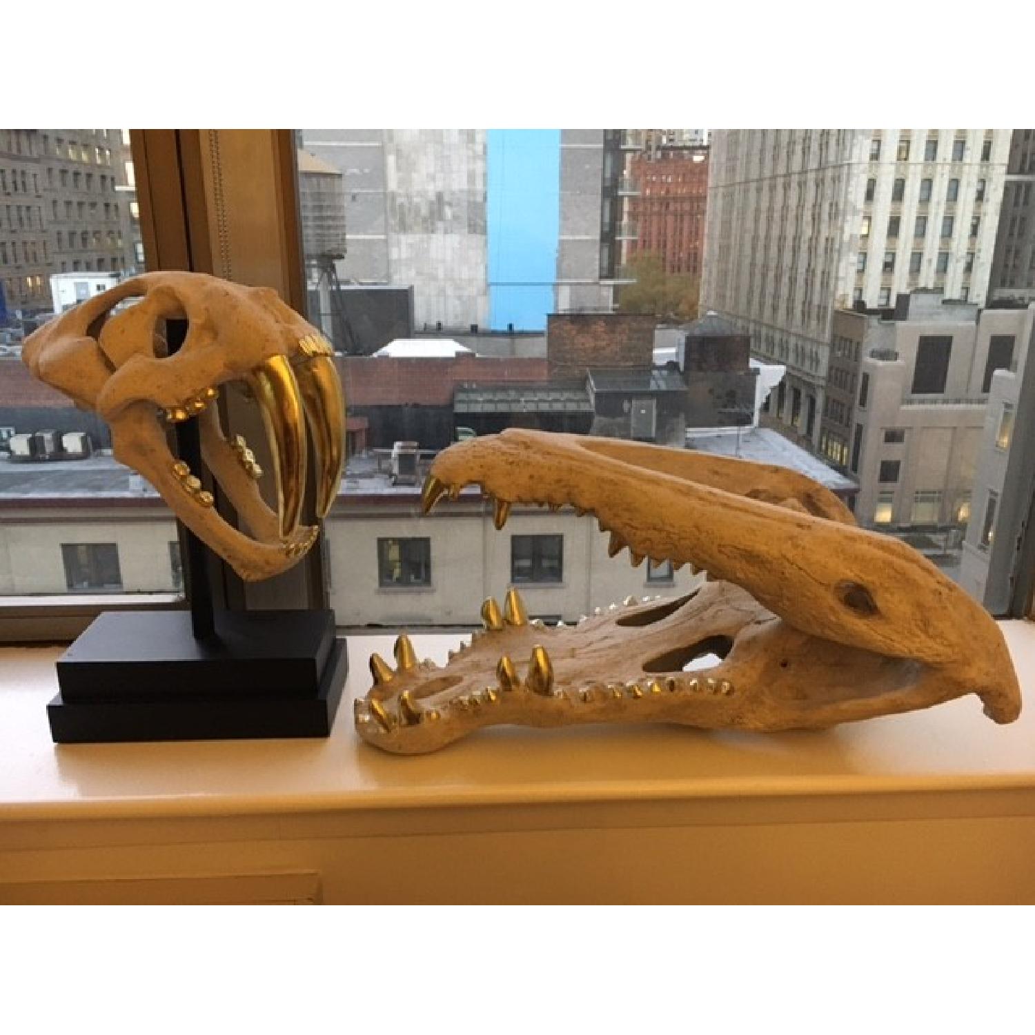 Replica Crocodile & Sabertooth Tiger Skull - image-5