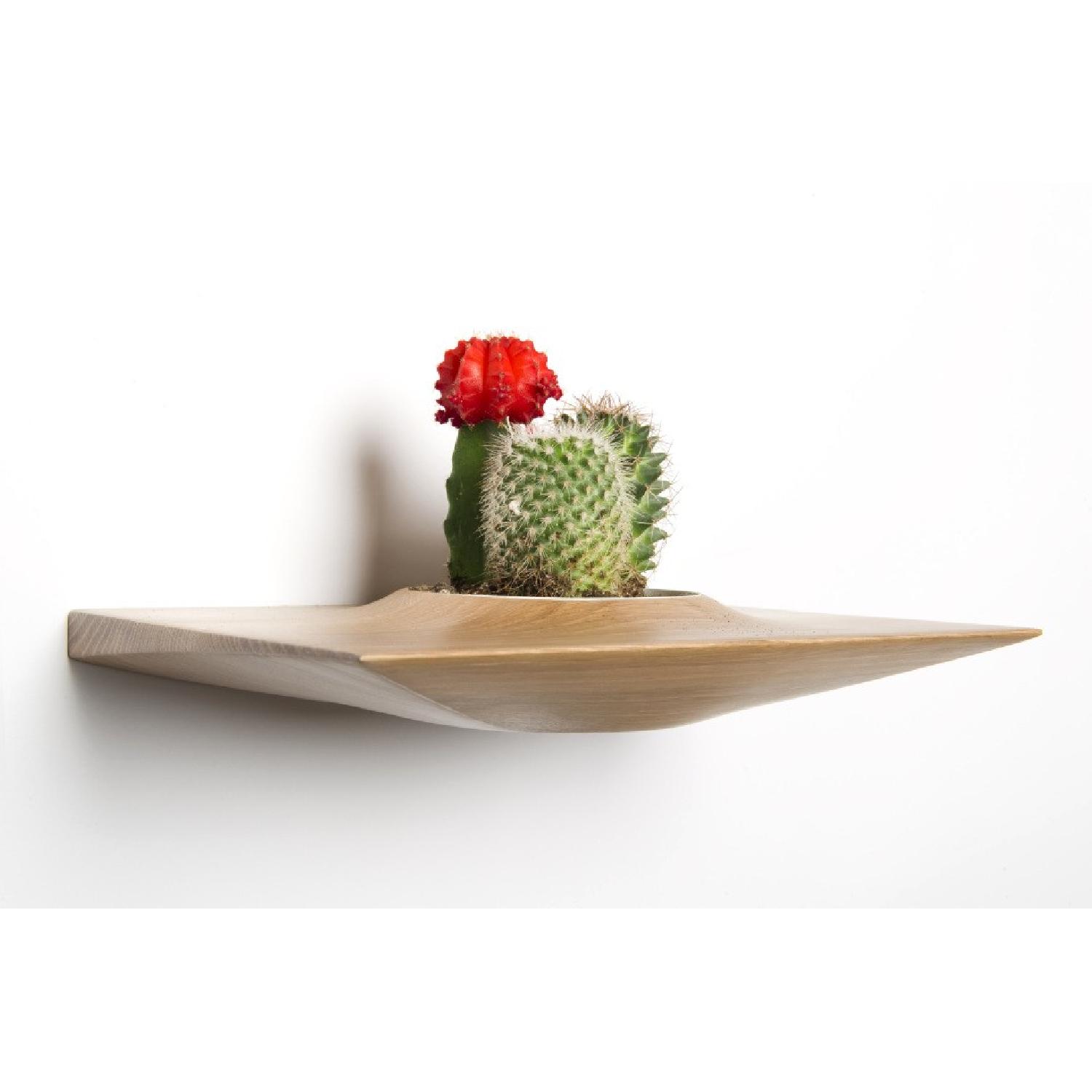Plant Pod - image-2