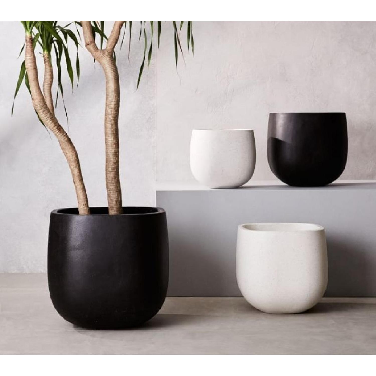 West Elm Stratus Large Planter - image-1
