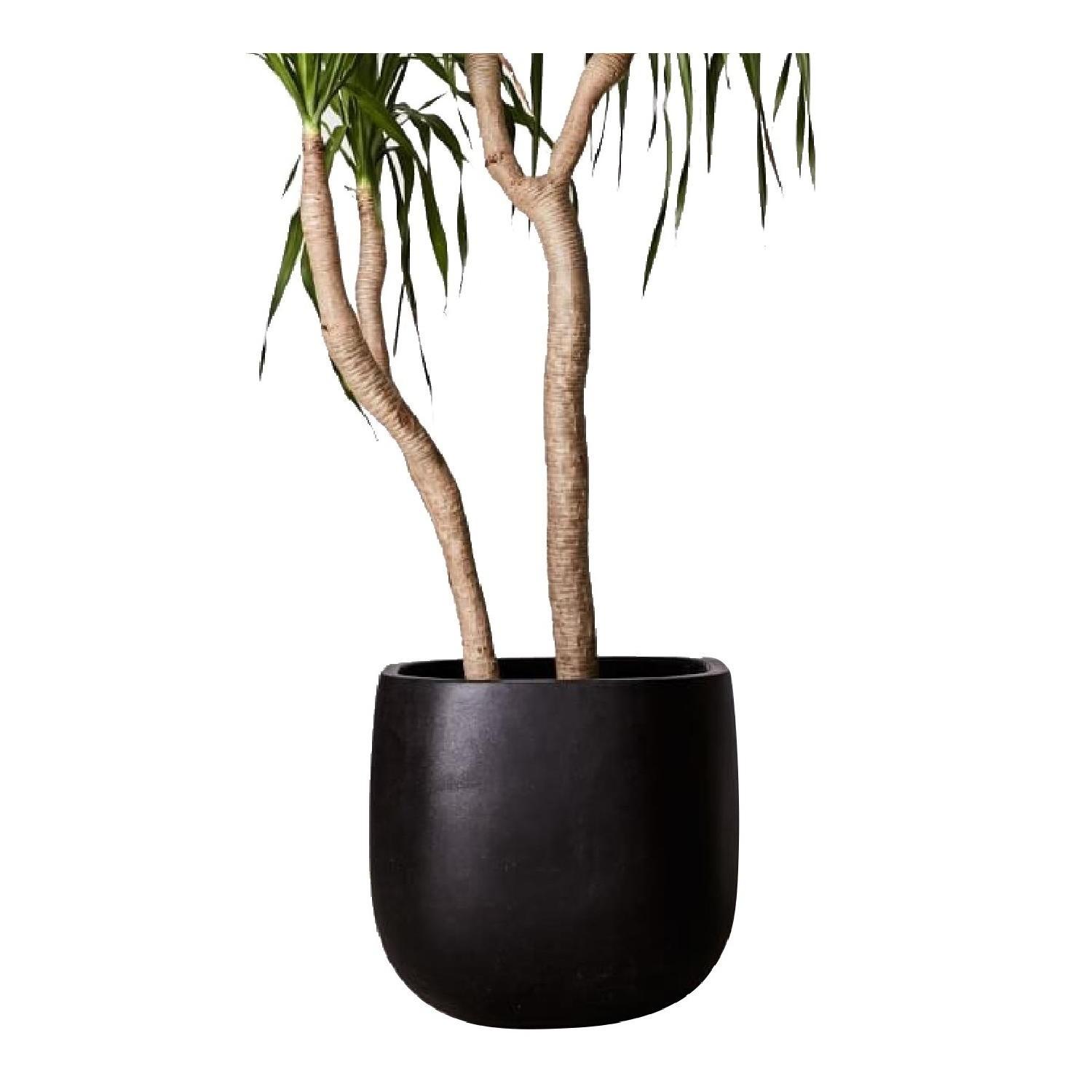 West Elm Stratus Large Planter - image-0