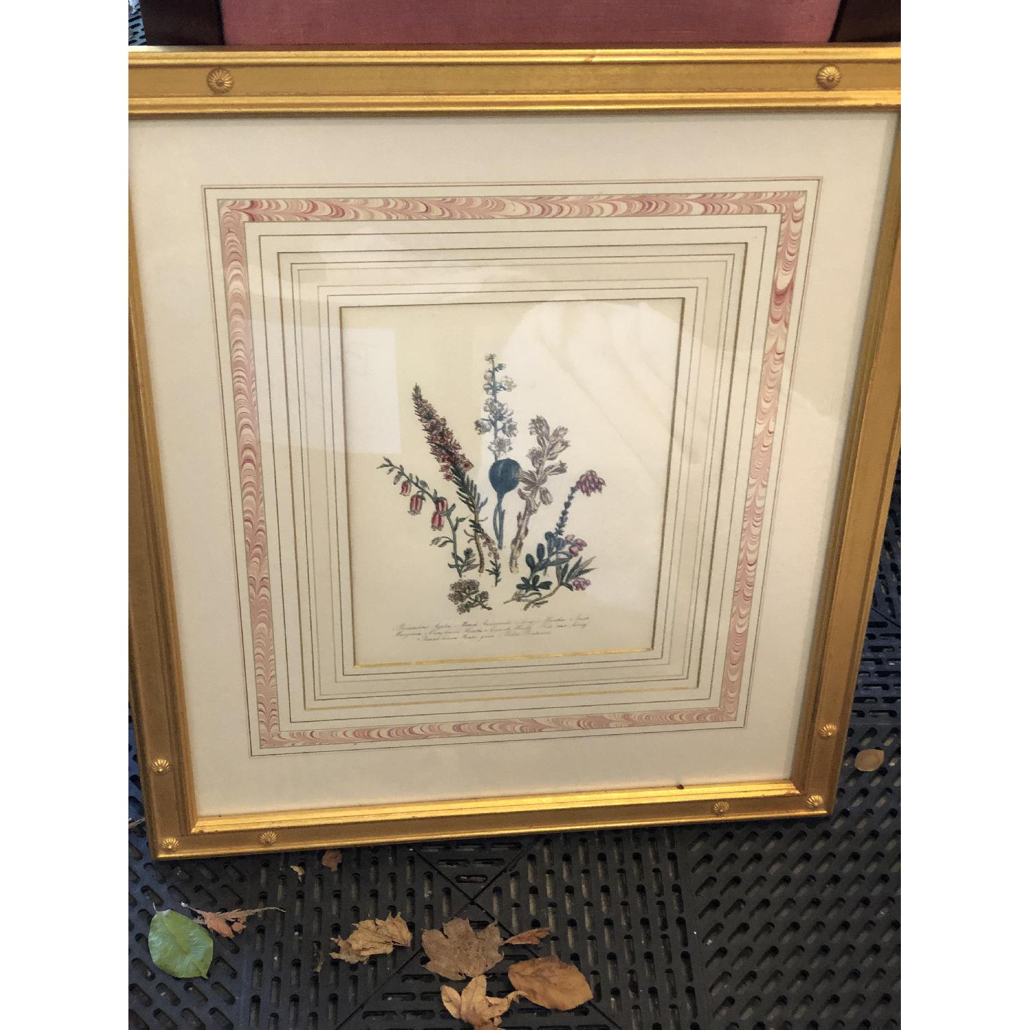 Jane Loudon Botanical Prints - image-2