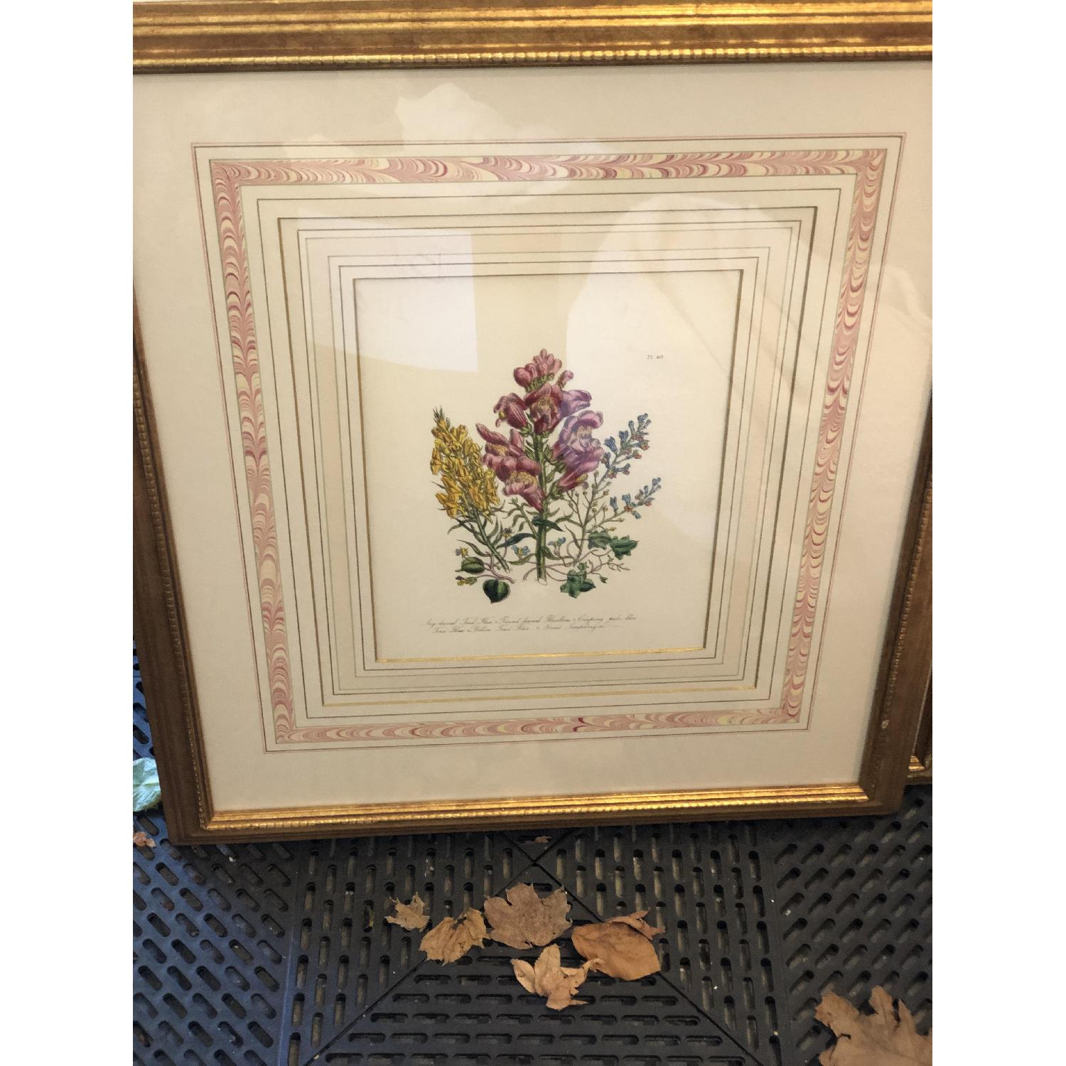 Jane Loudon Botanical Prints - image-3