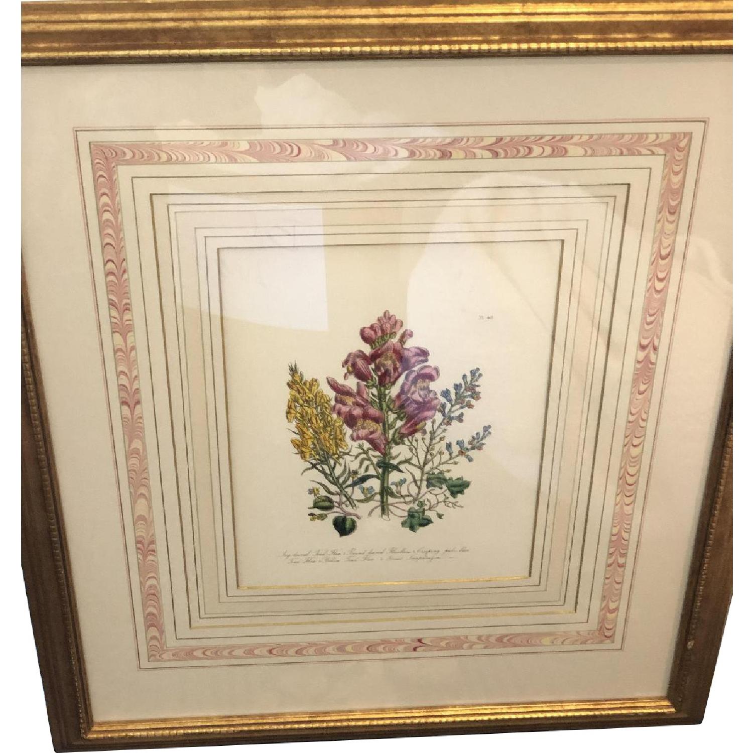 Jane Loudon Botanical Prints - image-0