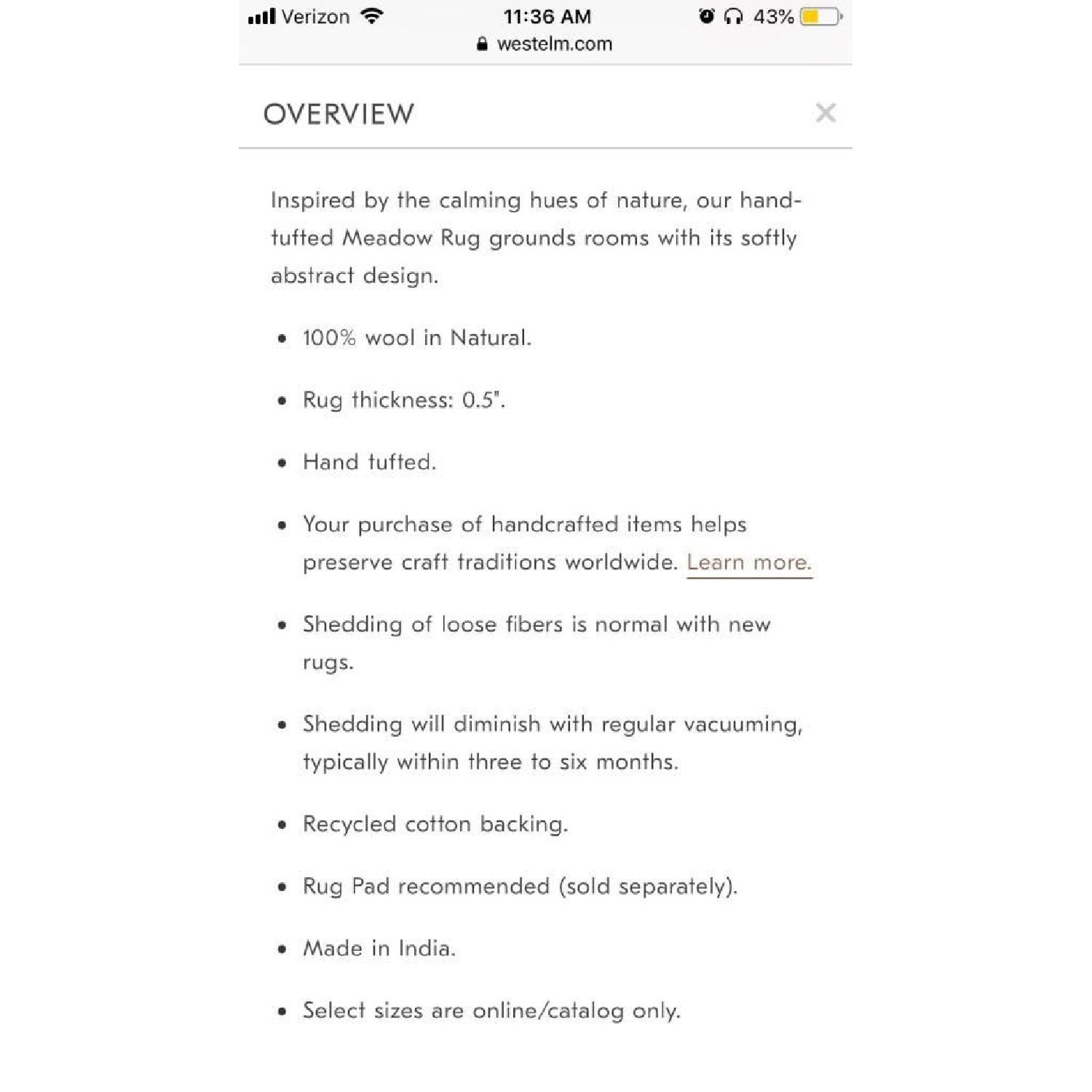 West Elm Watercolor Landscape Rug - image-3