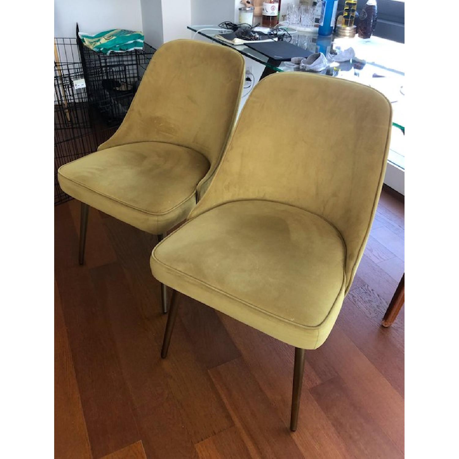 West Elm Green Velvet Dining Chairs - image-1