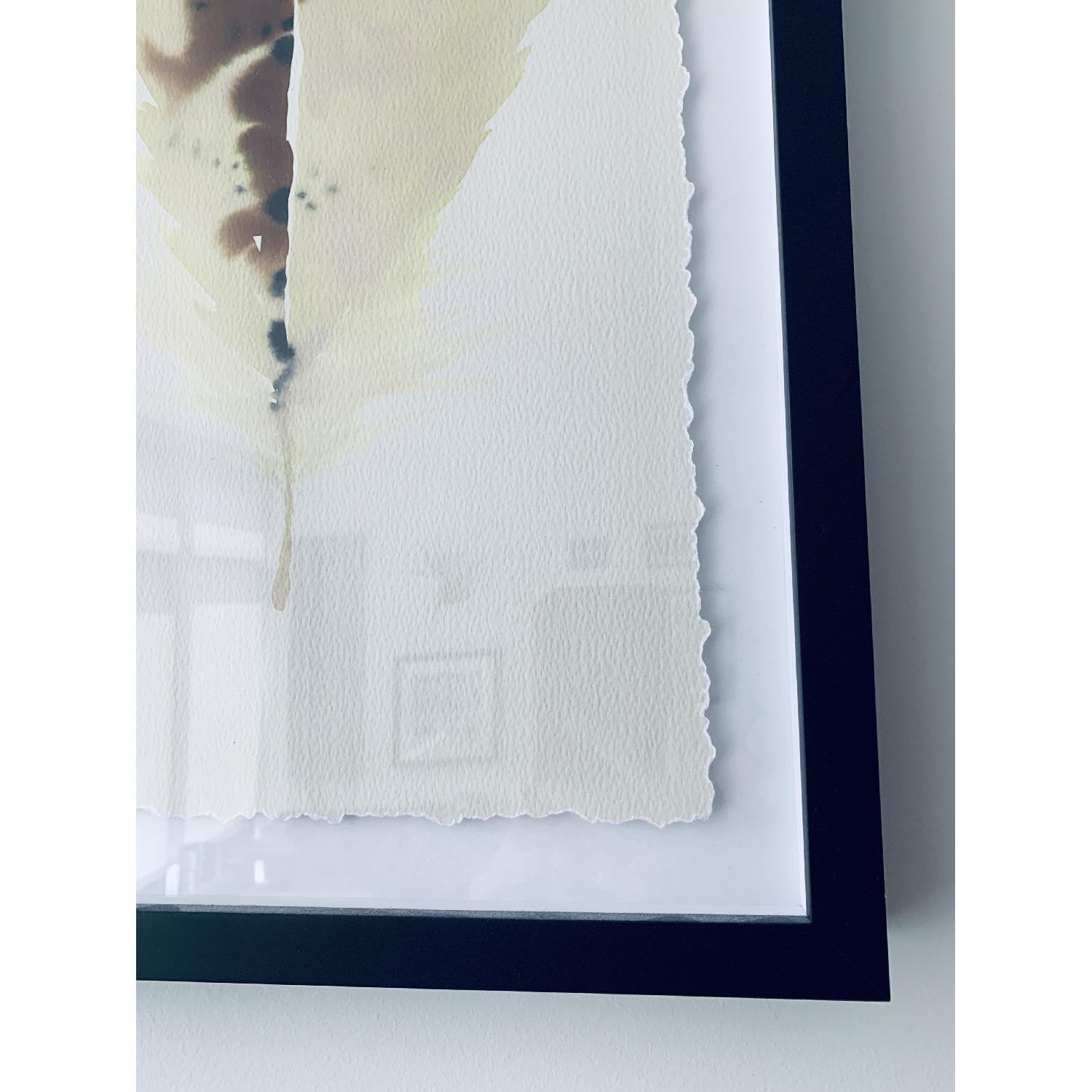 Crate & Barrel Framed Watercolor Feathers - image-2