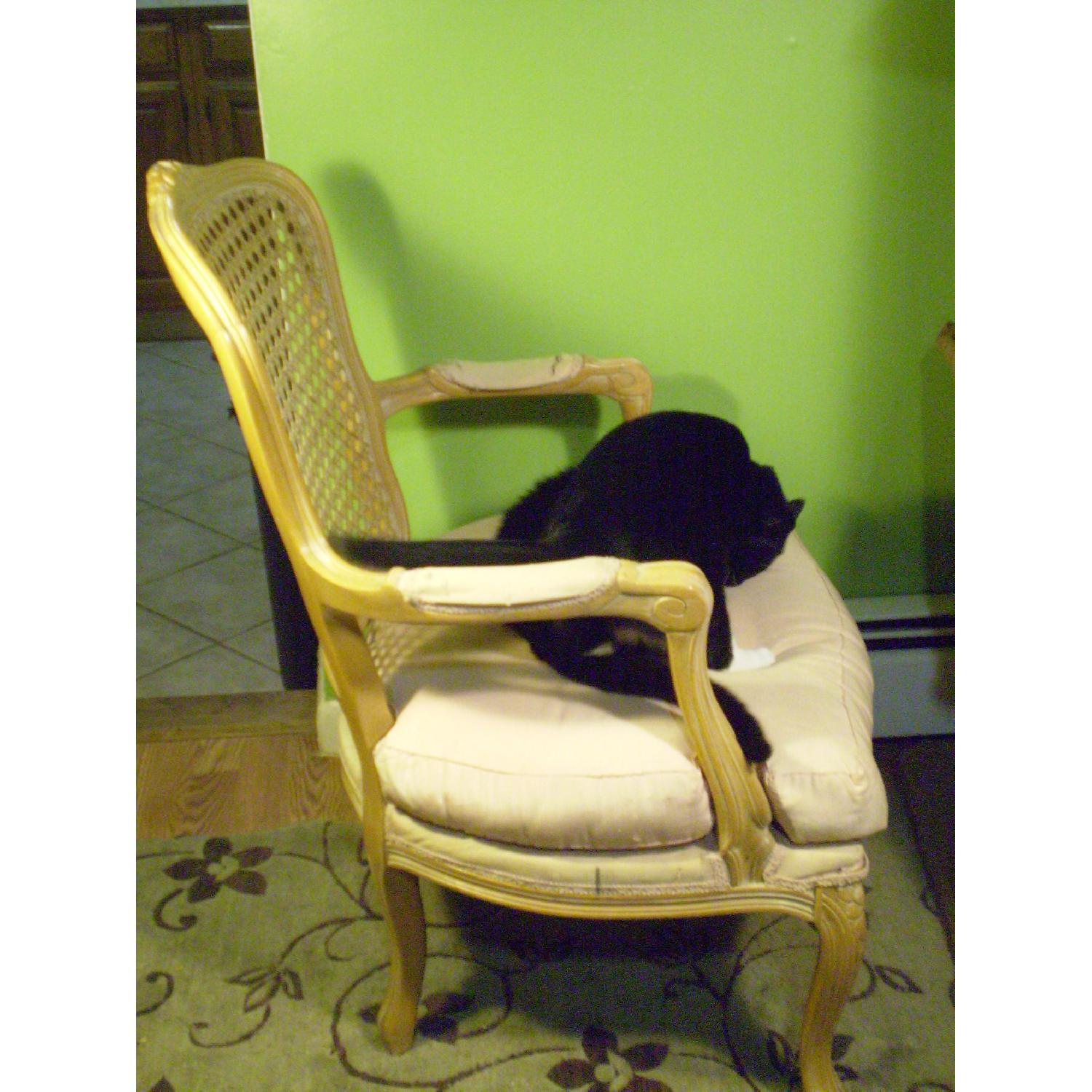 Chateau d'Ax Louis XVI Style Pink Cane Back Armchair - image-10