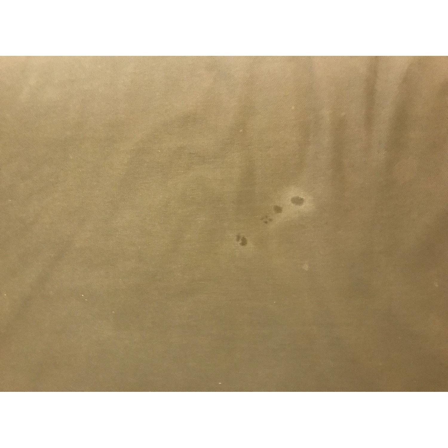 Design Within Reach Bantam Sofa in Khaki - image-5