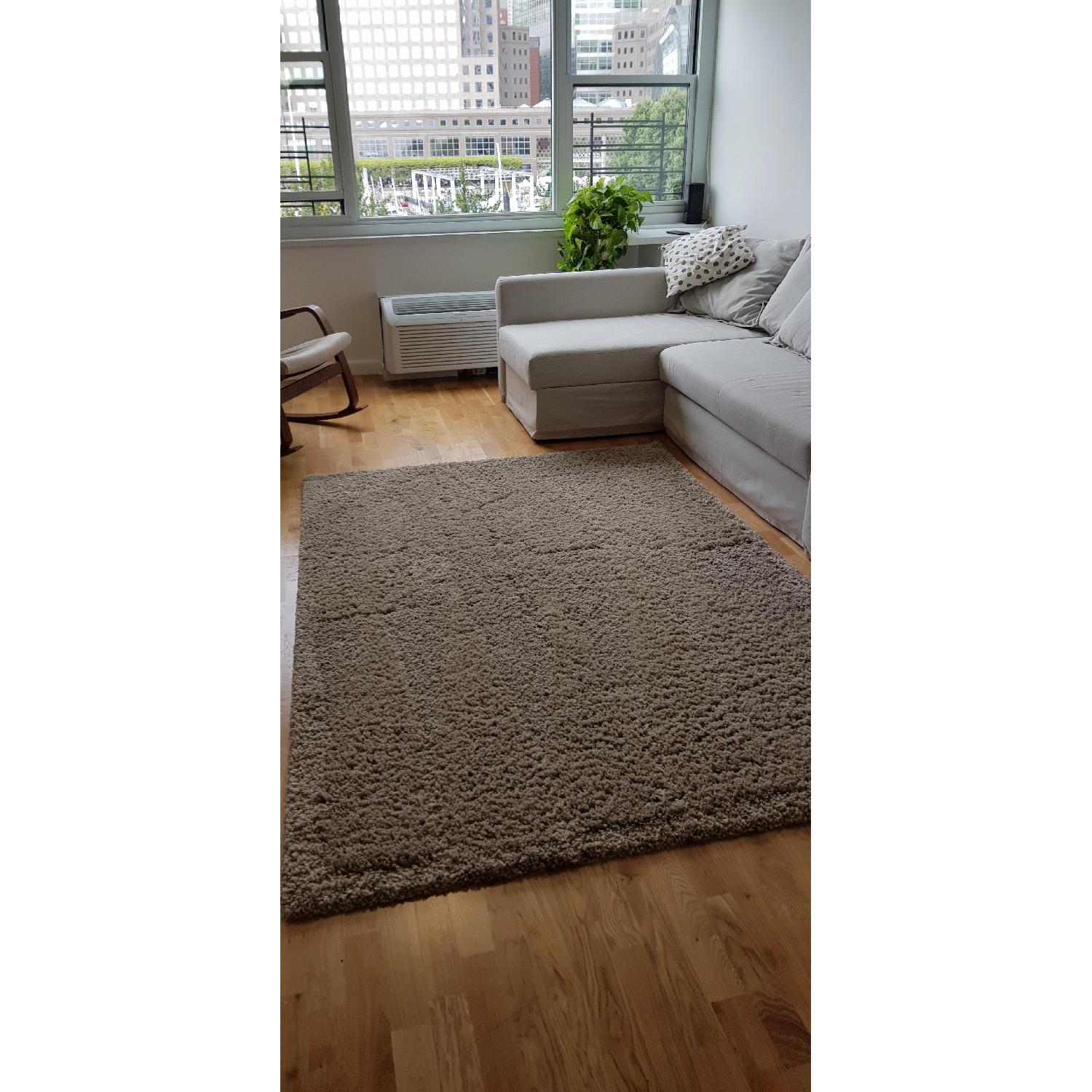 Ikea Vindum Beige Area Rug AptDeco