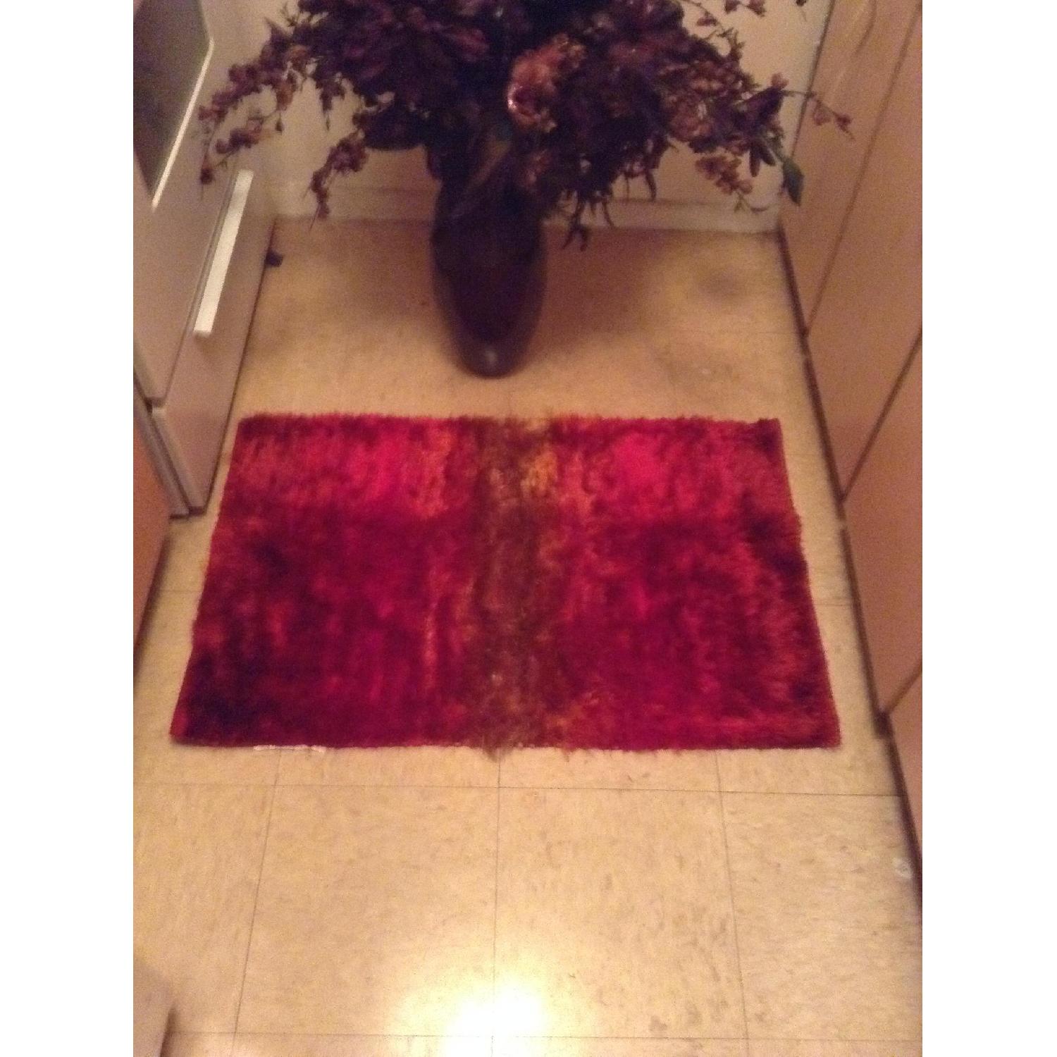 Pier 1 Sumptuous and Luxurious Rug - image-5