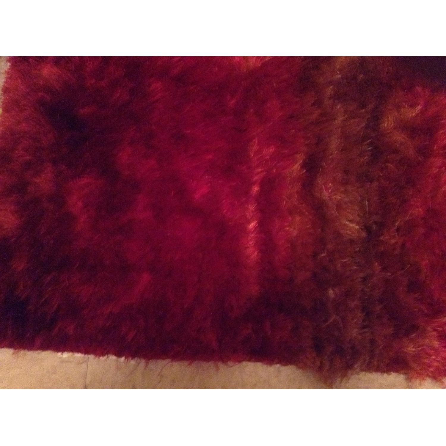 Pier 1 Sumptuous and Luxurious Rug - image-8