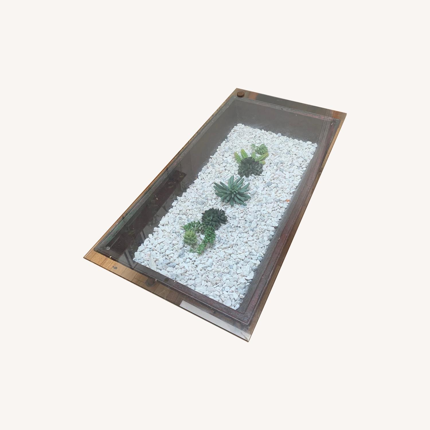 Custom Terrarium Coffee Table - image-0