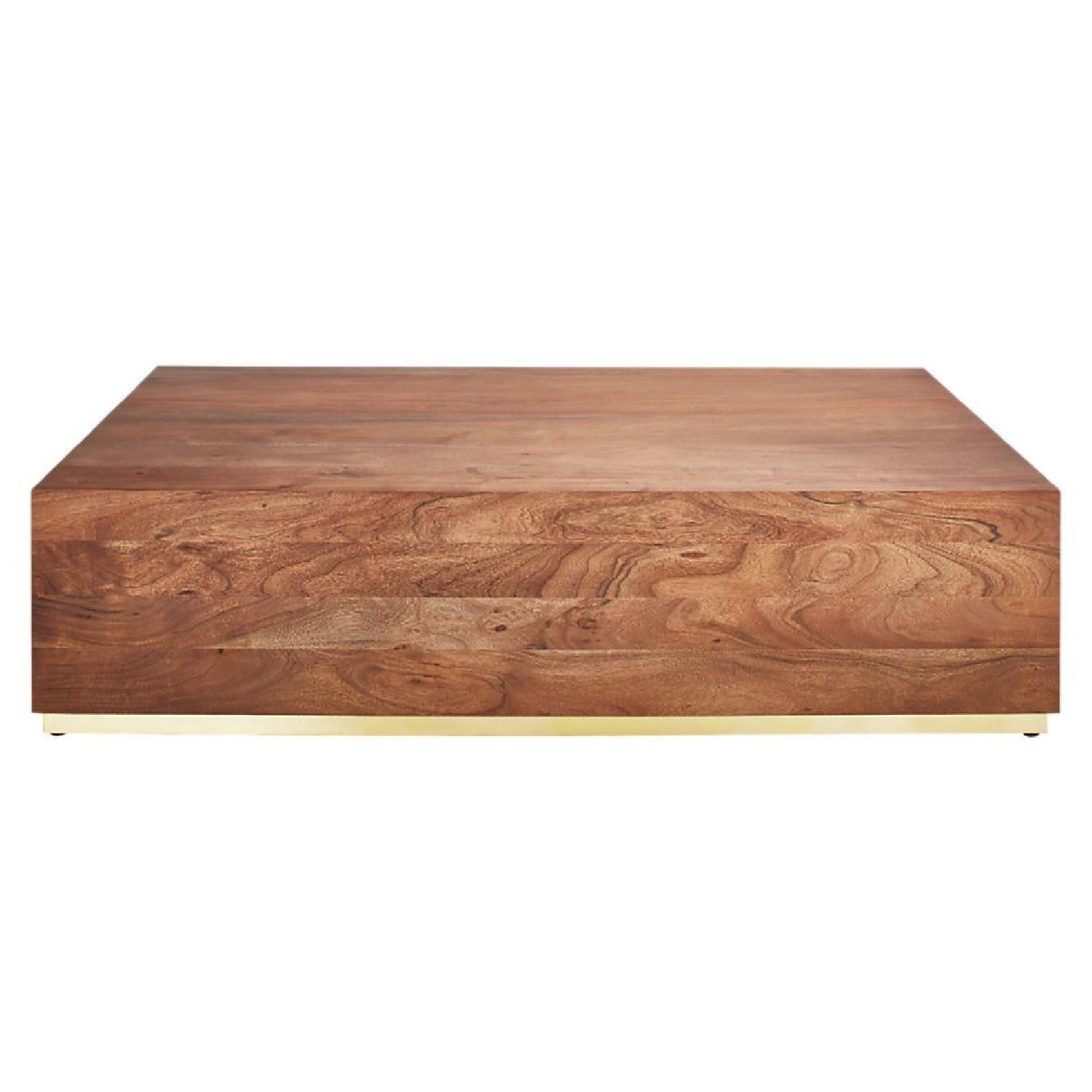 CB2 Joni Wood & Brass Coffee Table AptDeco