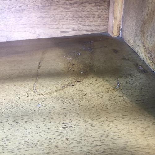 Used Pair of Mid Century Nightstands with Single Drawer for sale on AptDeco