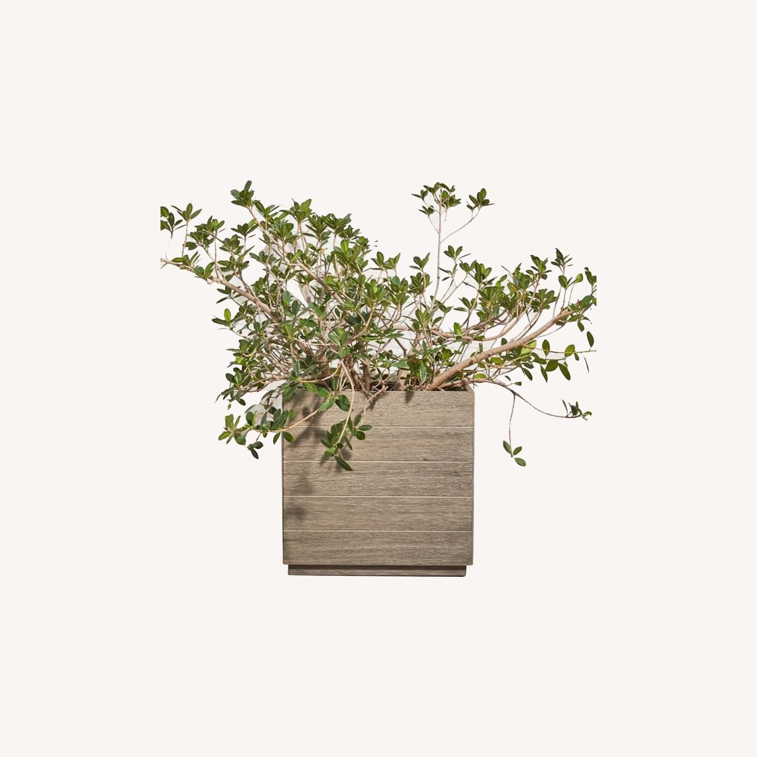 West Elm Large Portside Planter - image-0