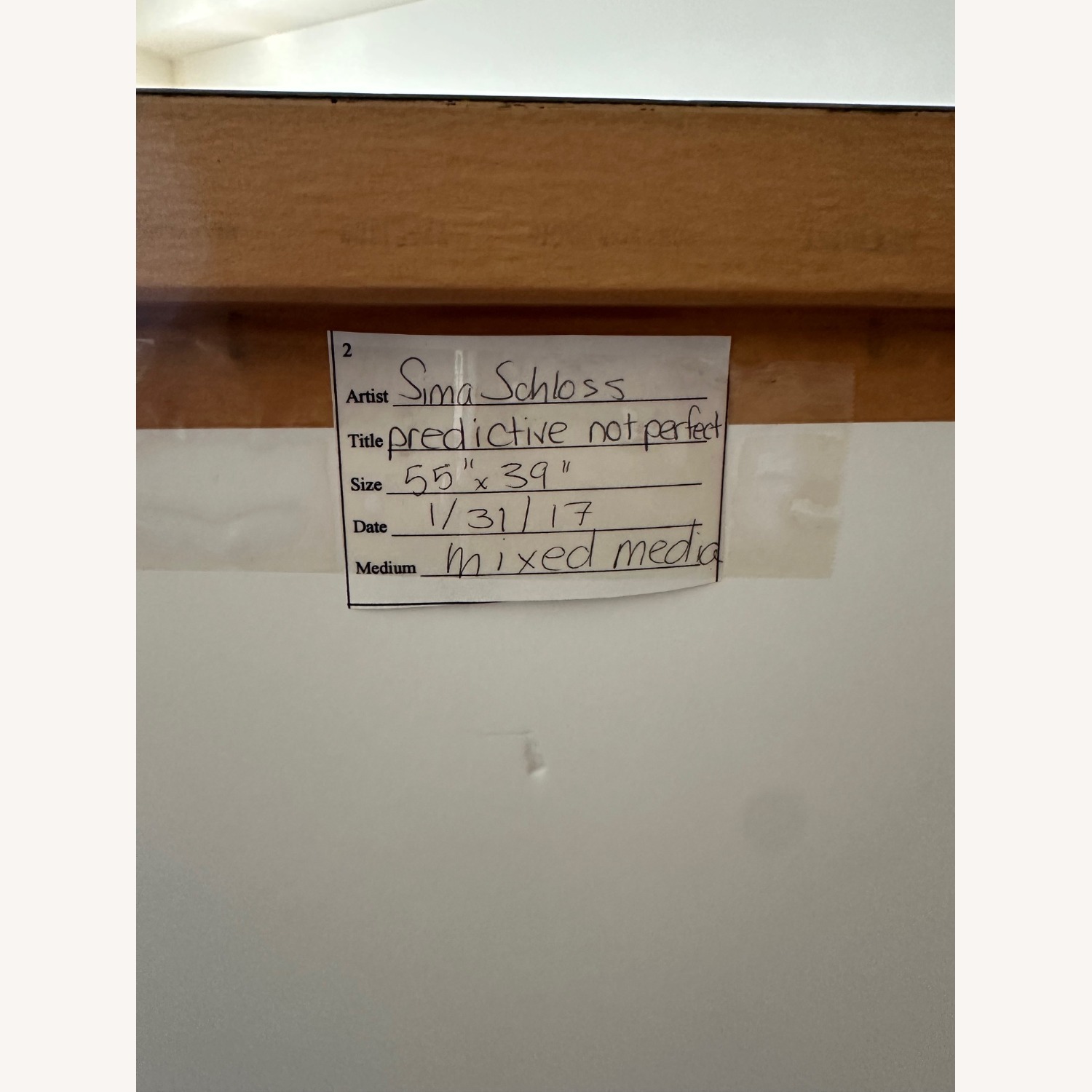 Sima Schloss - Predictive Not Perfect - image-8