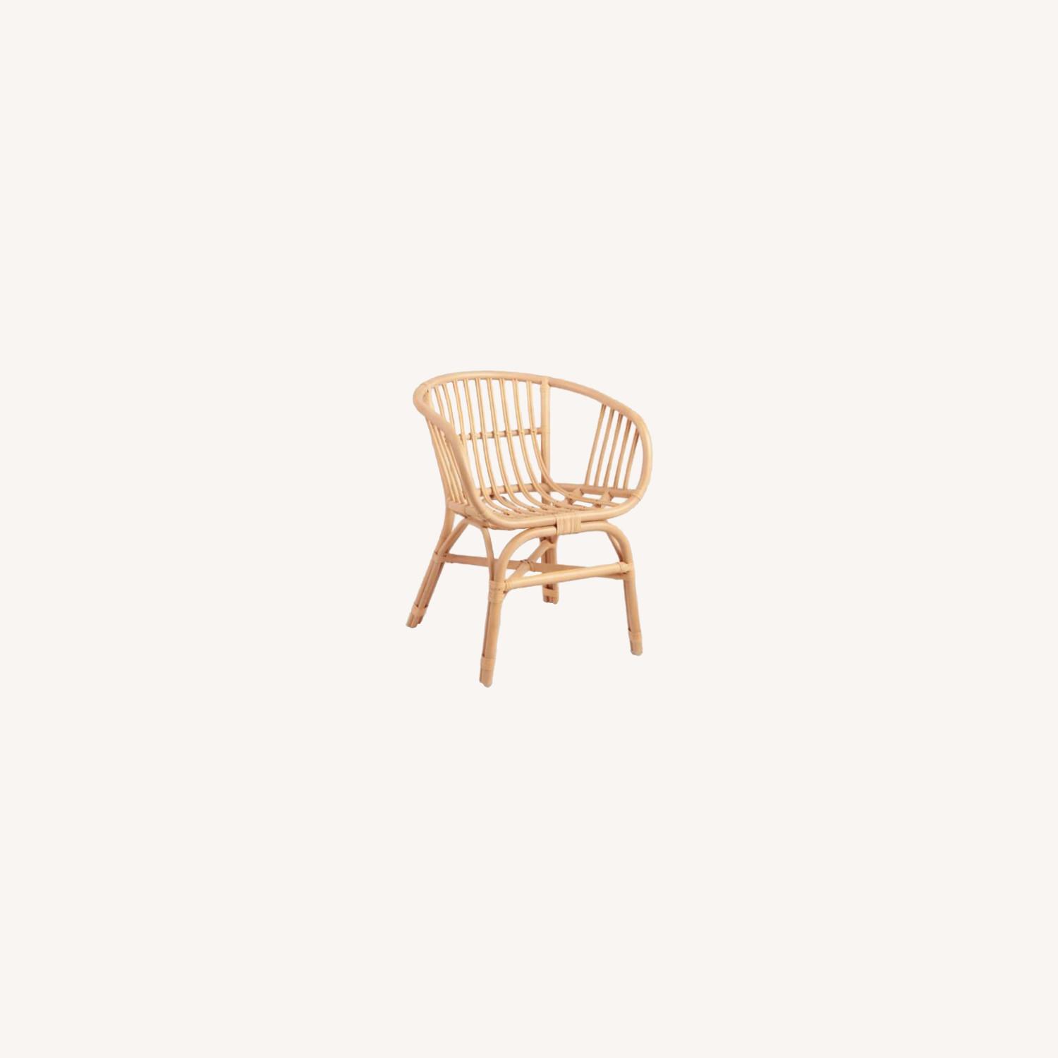 World Market Natural Rattan Chairs w/ Cushions - image-0