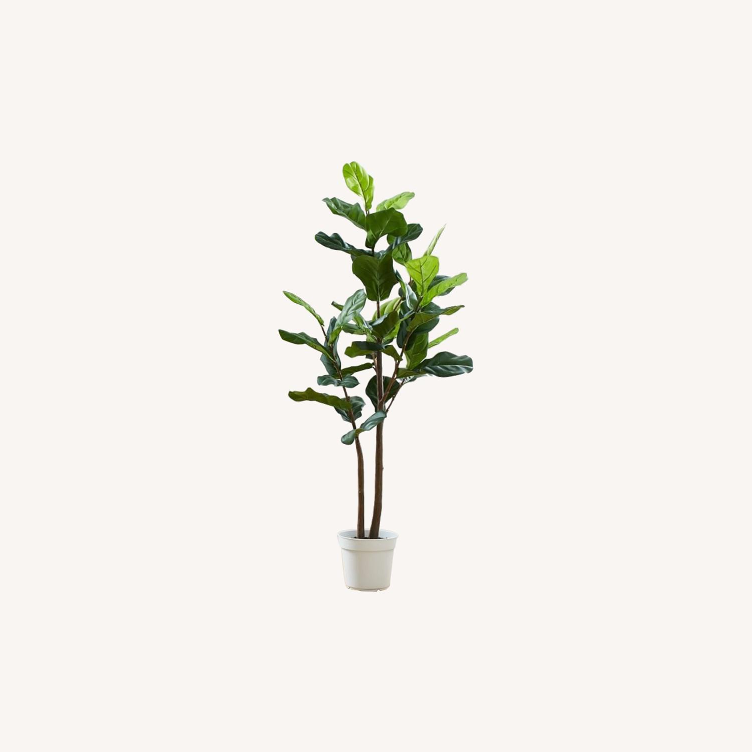 West Elm Faux Fiddle Floor Plants AptDeco