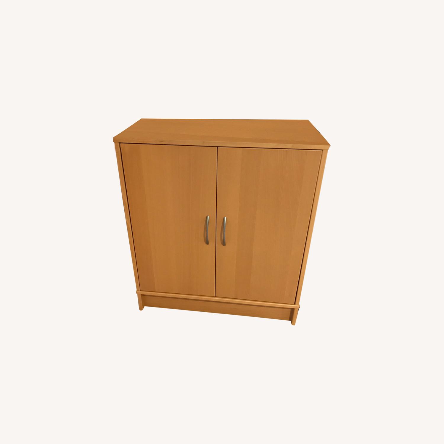 IKEA Cabinet with 2 Adjustable Shelves - image-0