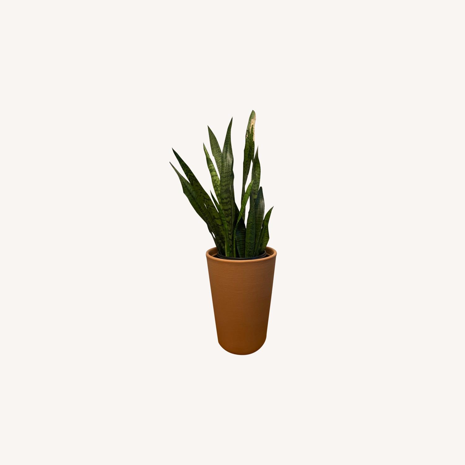 IKEA Ceramic Effect Planter AptDeco