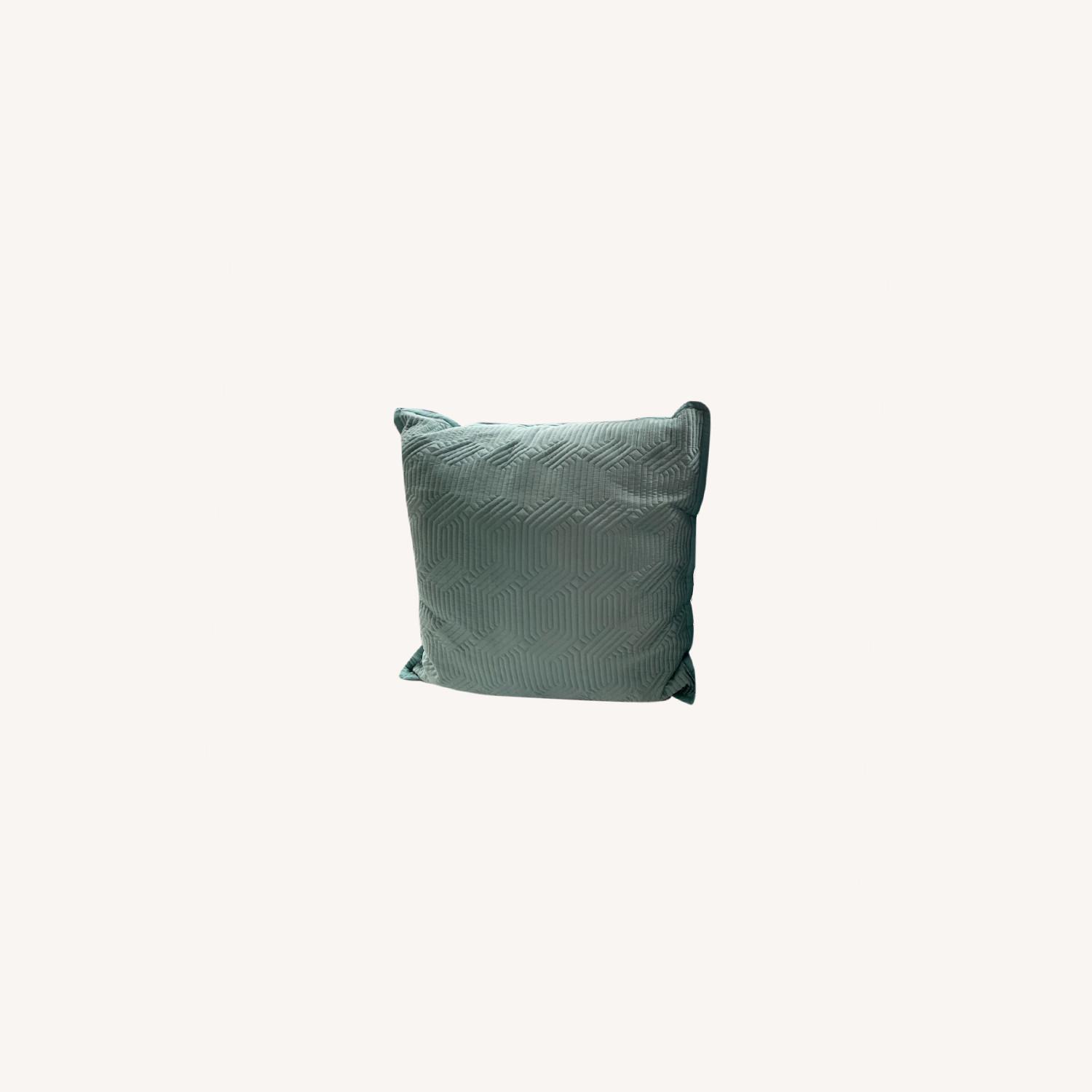 william sonoma pillows