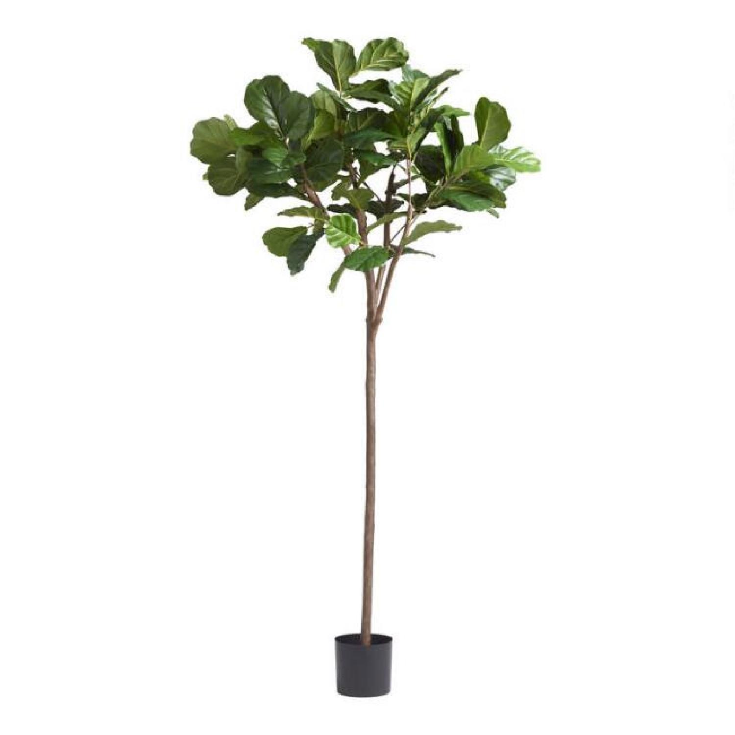 World Market 6 ft Faux Fiddle Leaf Fig Tree - image-4