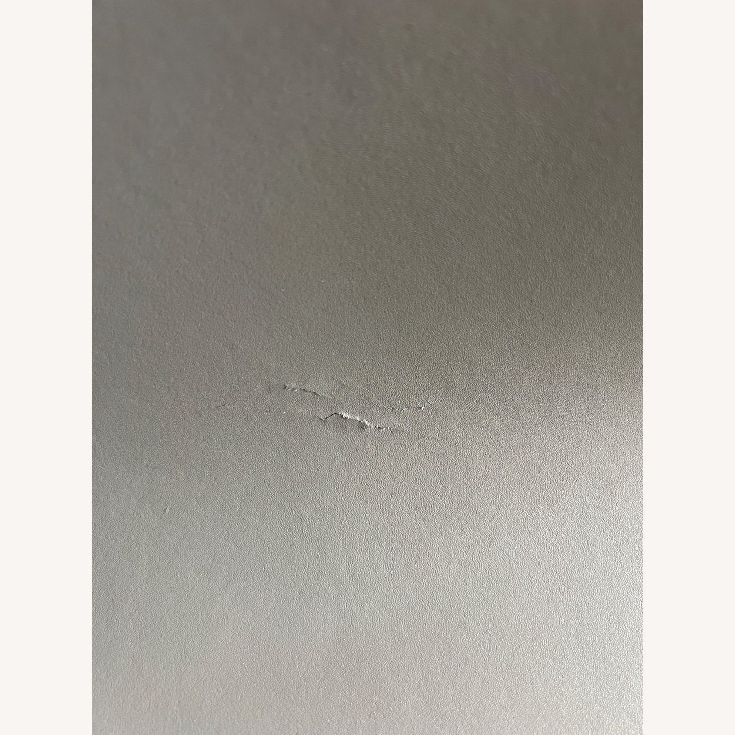 CB2 Diego Dining Chair (Set of 4) - image-9