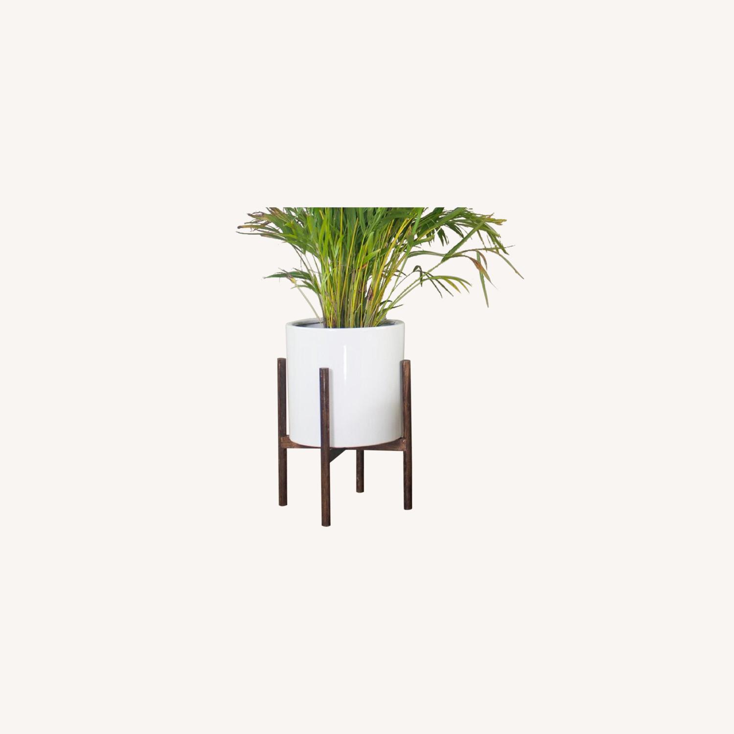 Wayfair Mid Century Modern White Planter AND Faux Plant - image-0