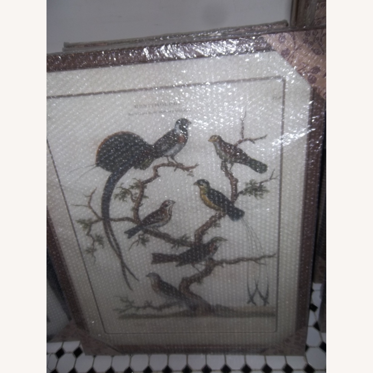 Picture Wall Decor - image-4