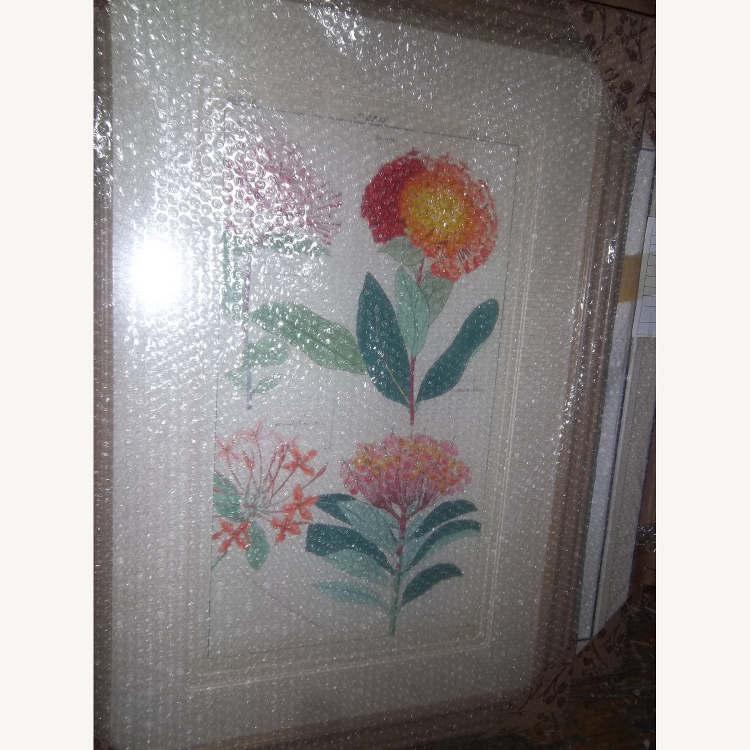 Picture Wall Decor - image-11