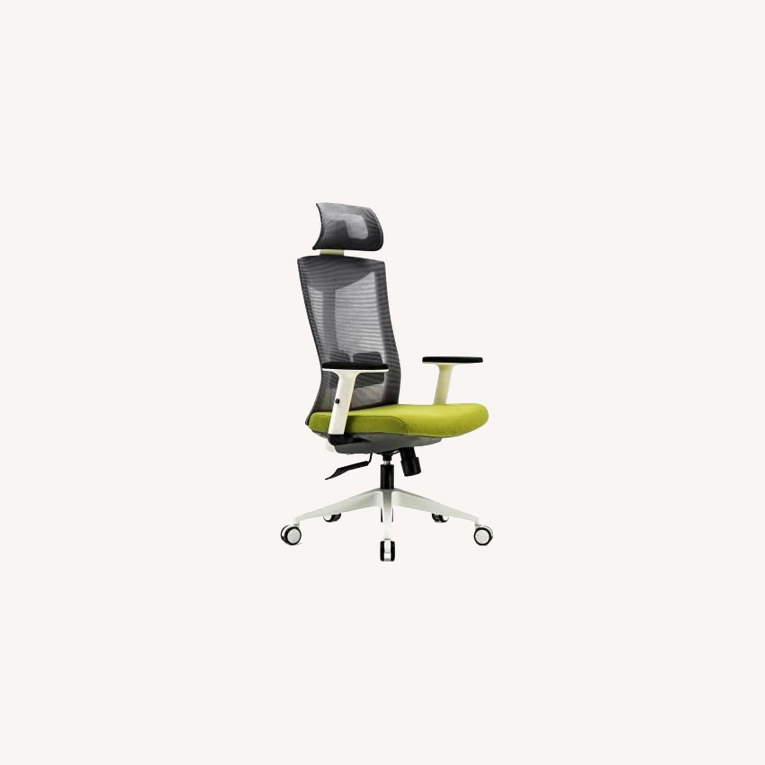 SIHOO Desk Chair: Adjust Lumbar/Head/Arms - AptDeco