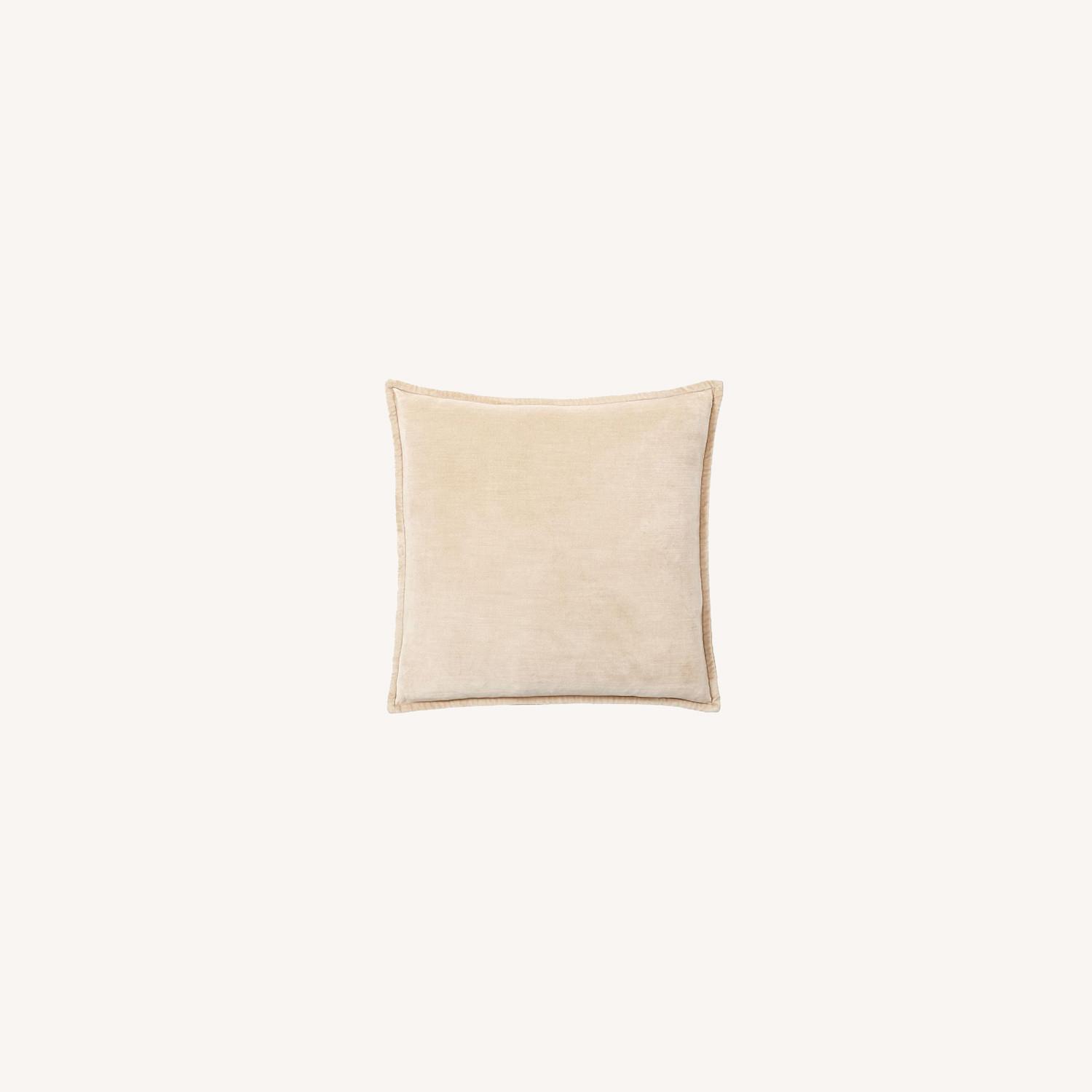 Pottery Barn Washed Velvet Pillow Cover and Insert AptDeco