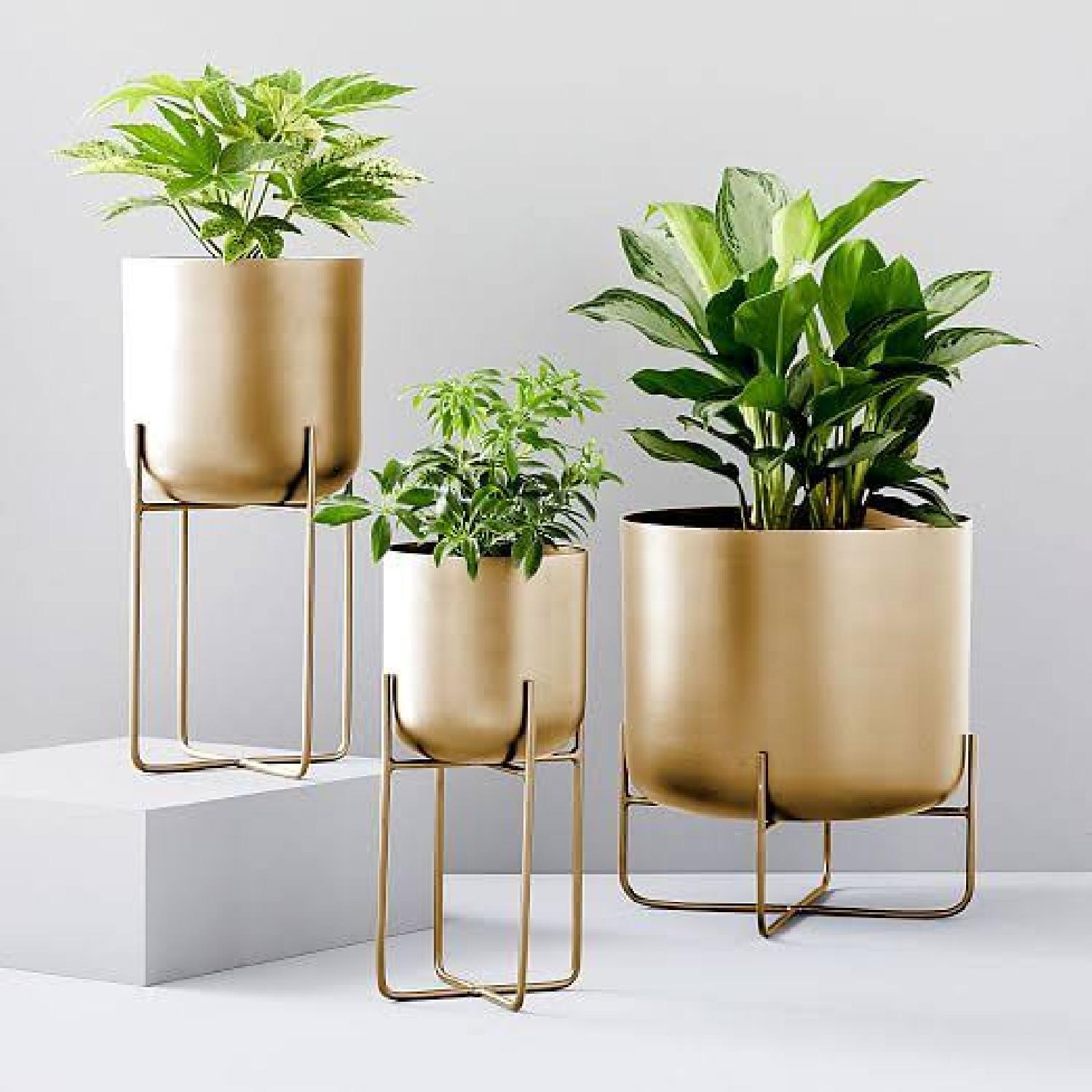 West Elm Brass Planter - image-4