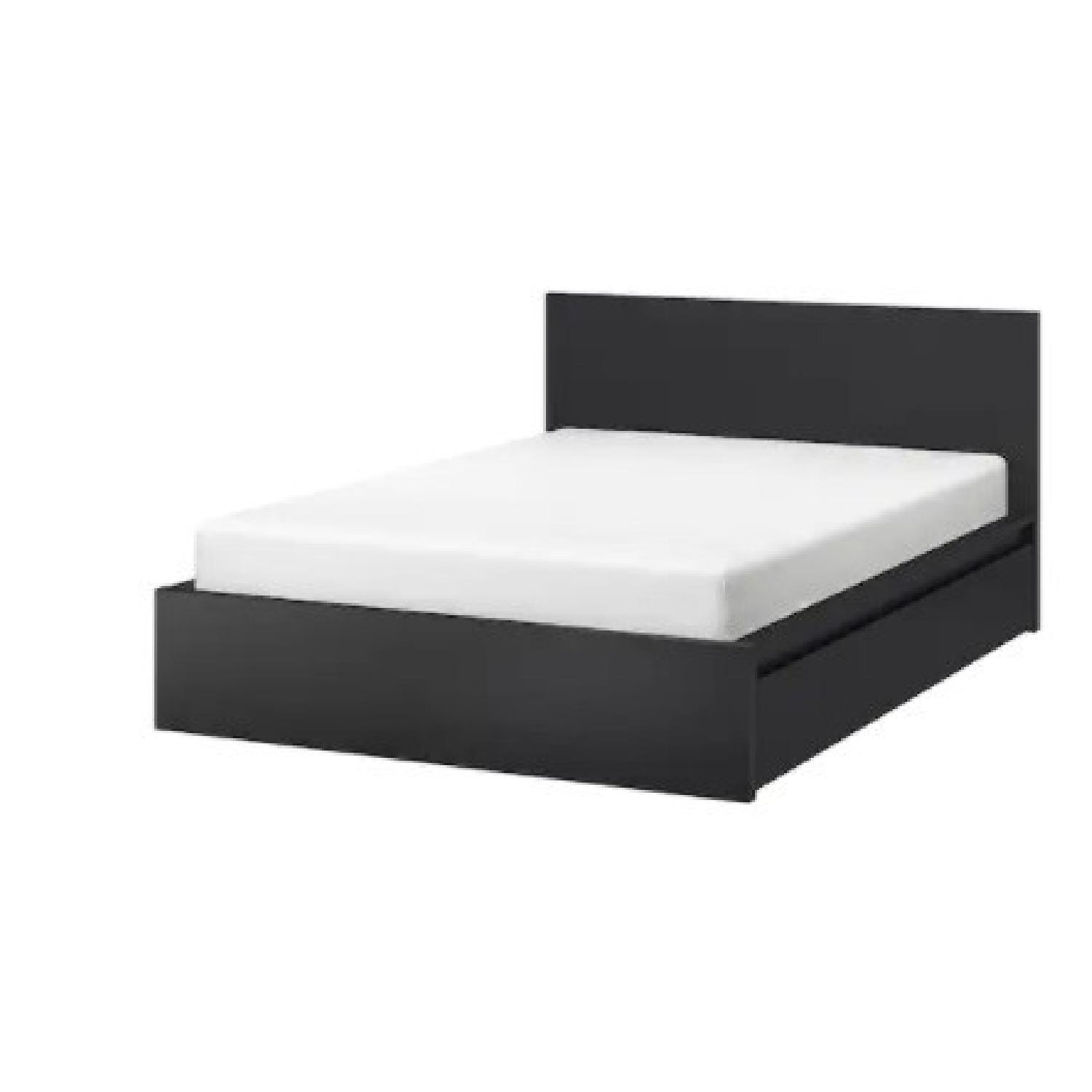 IKEA MALM High Bed Frame - AptDeco