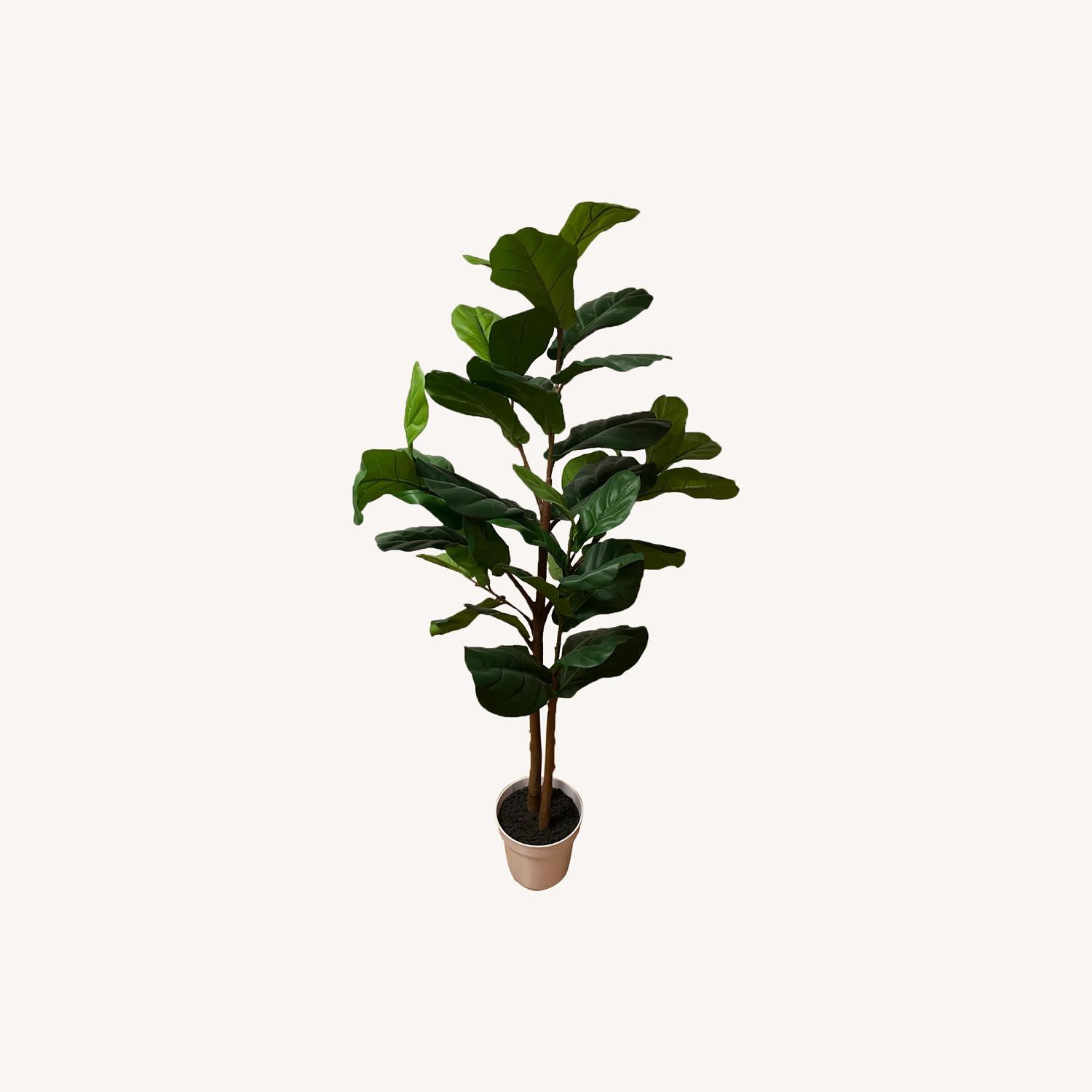 West Elm Faux Potted Fiddle Leaf Fig Plant (5') AptDeco
