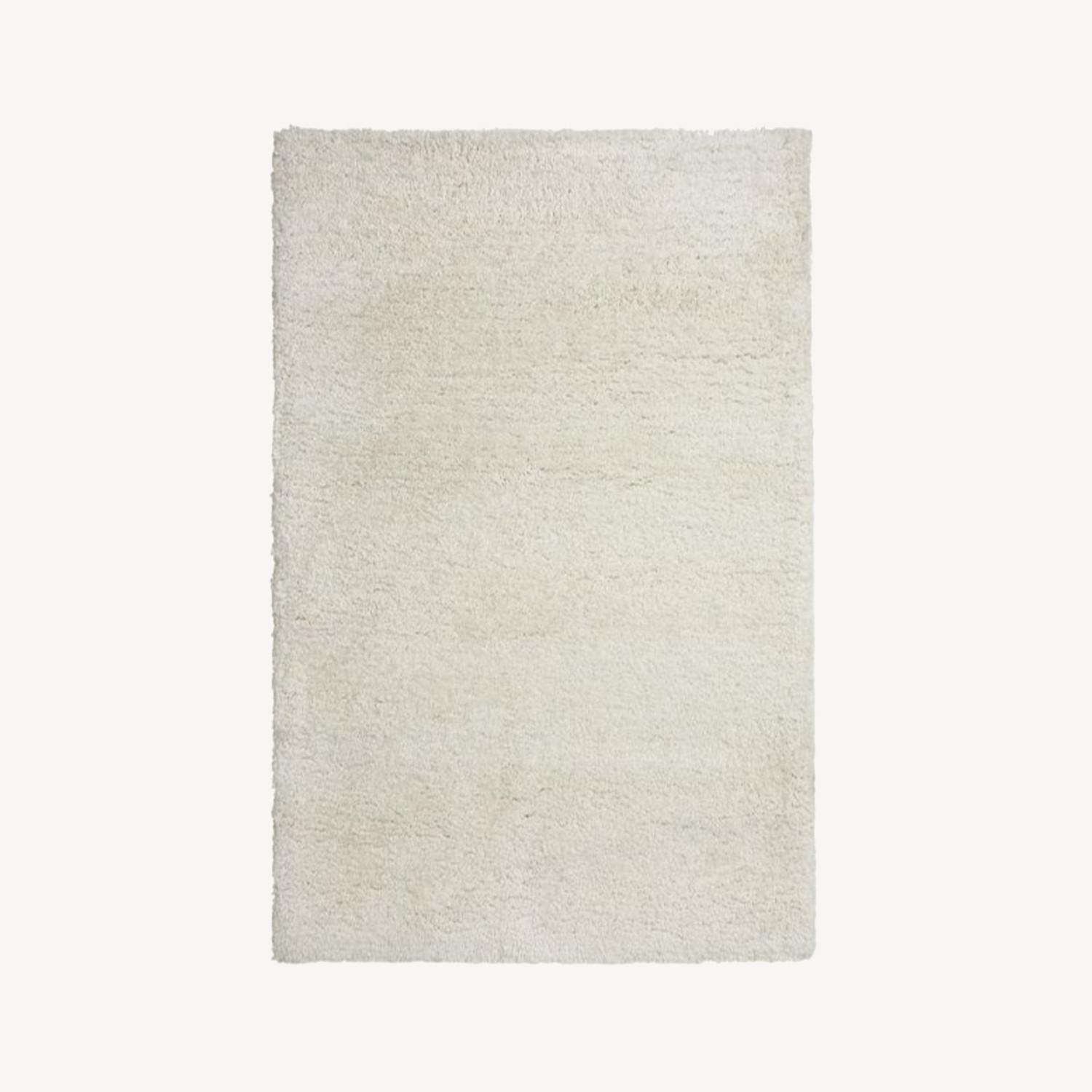 Pottery Barn Microplush Easy Care Shag Rug, 6 x 9' AptDeco