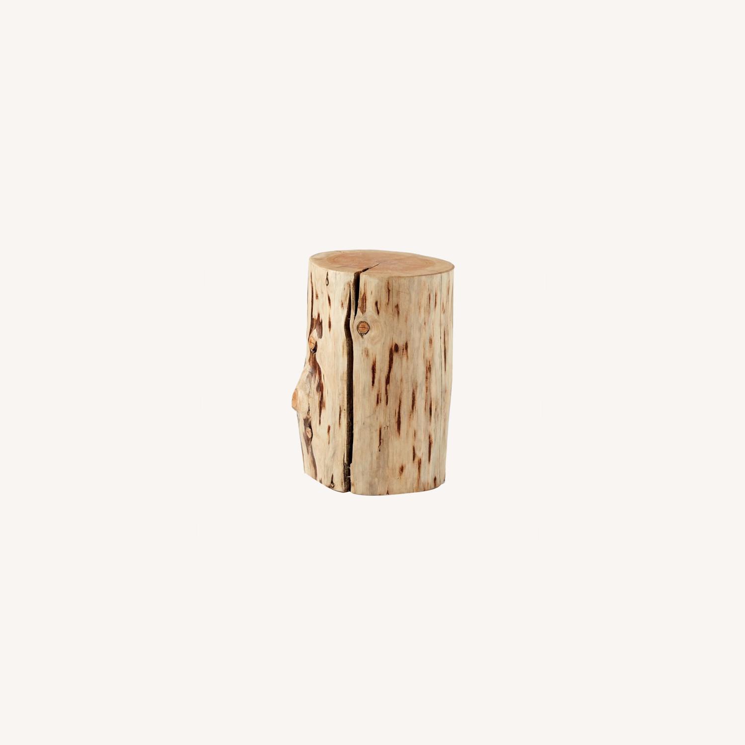 West Elm Natural Tree Stump Side Tables AptDeco