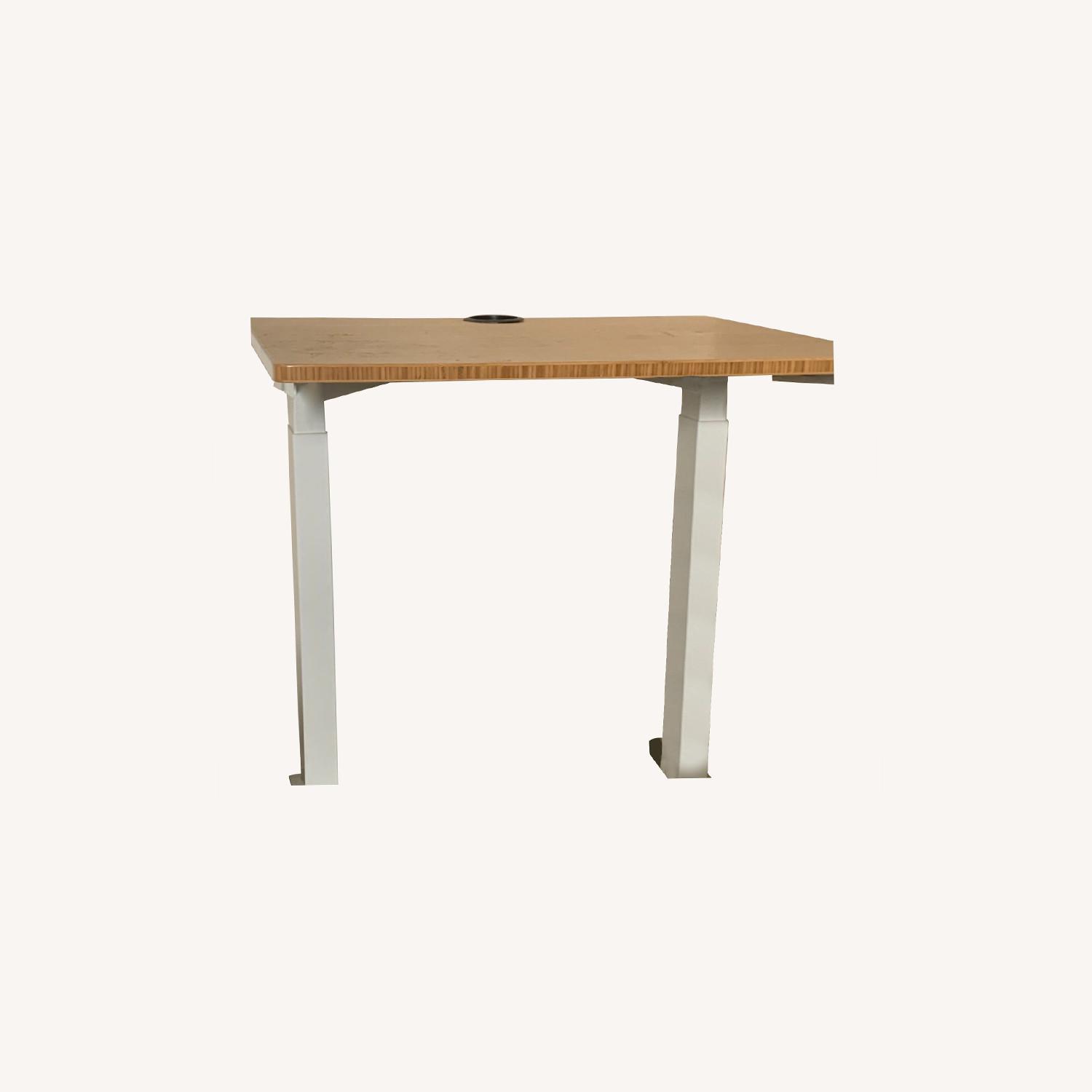 Fully Standing Desk AptDeco