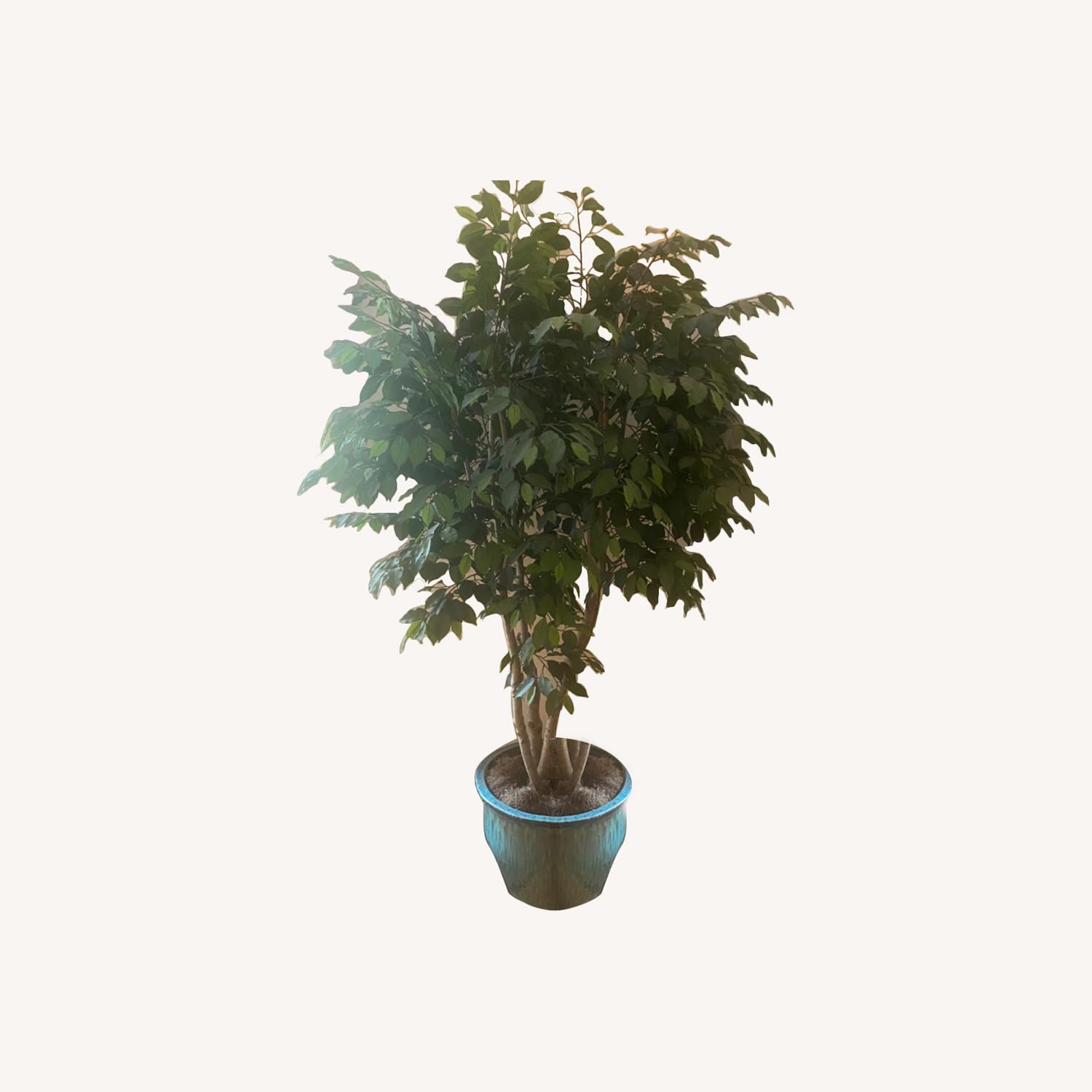 Faux Ficus Tree with Planter - image-0