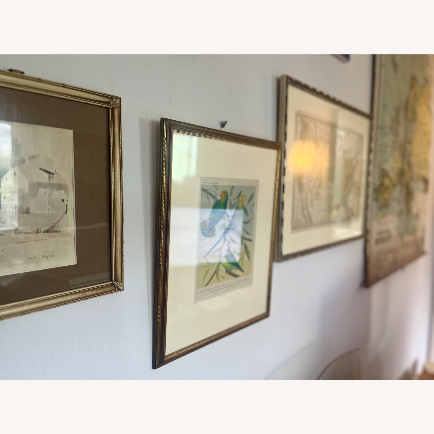 Framed Pair of Parakeet Pictures - image-11